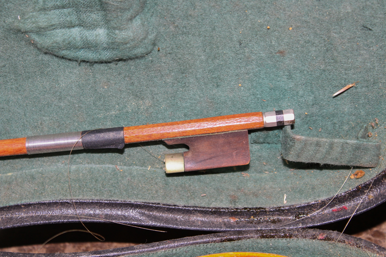 Vintage Skylark Violin and Case