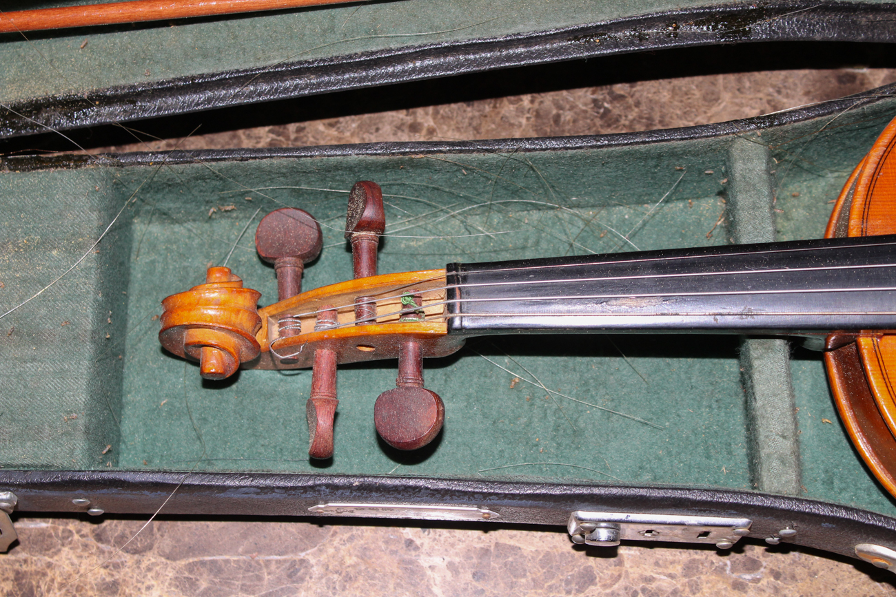 Vintage Skylark Violin and Case