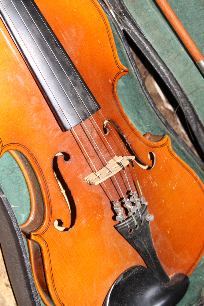 Vintage Skylark Violin and Case