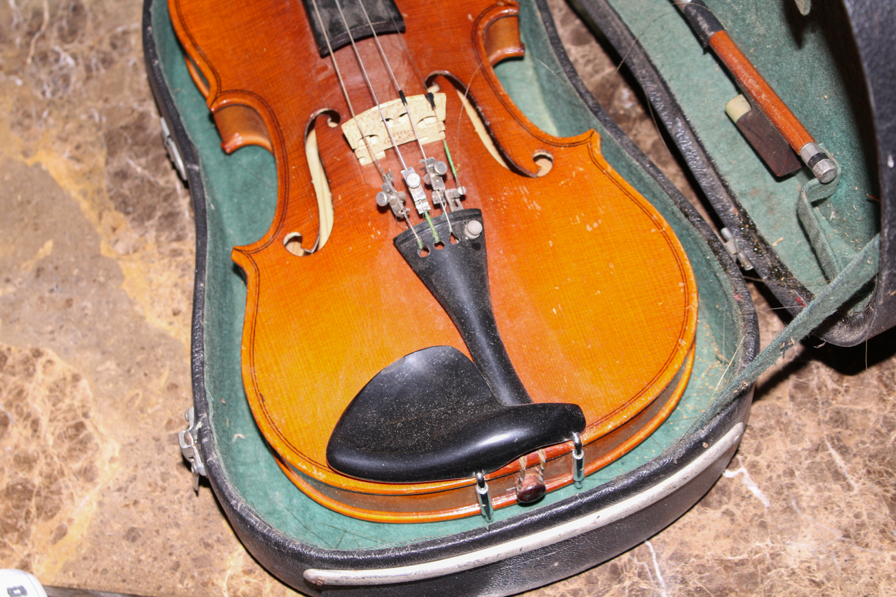 Vintage Skylark Violin and Case