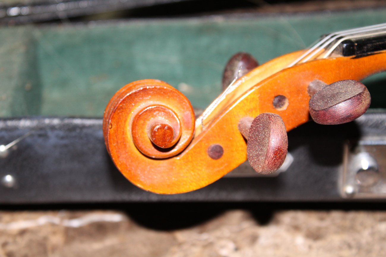 Vintage Skylark Violin and Case