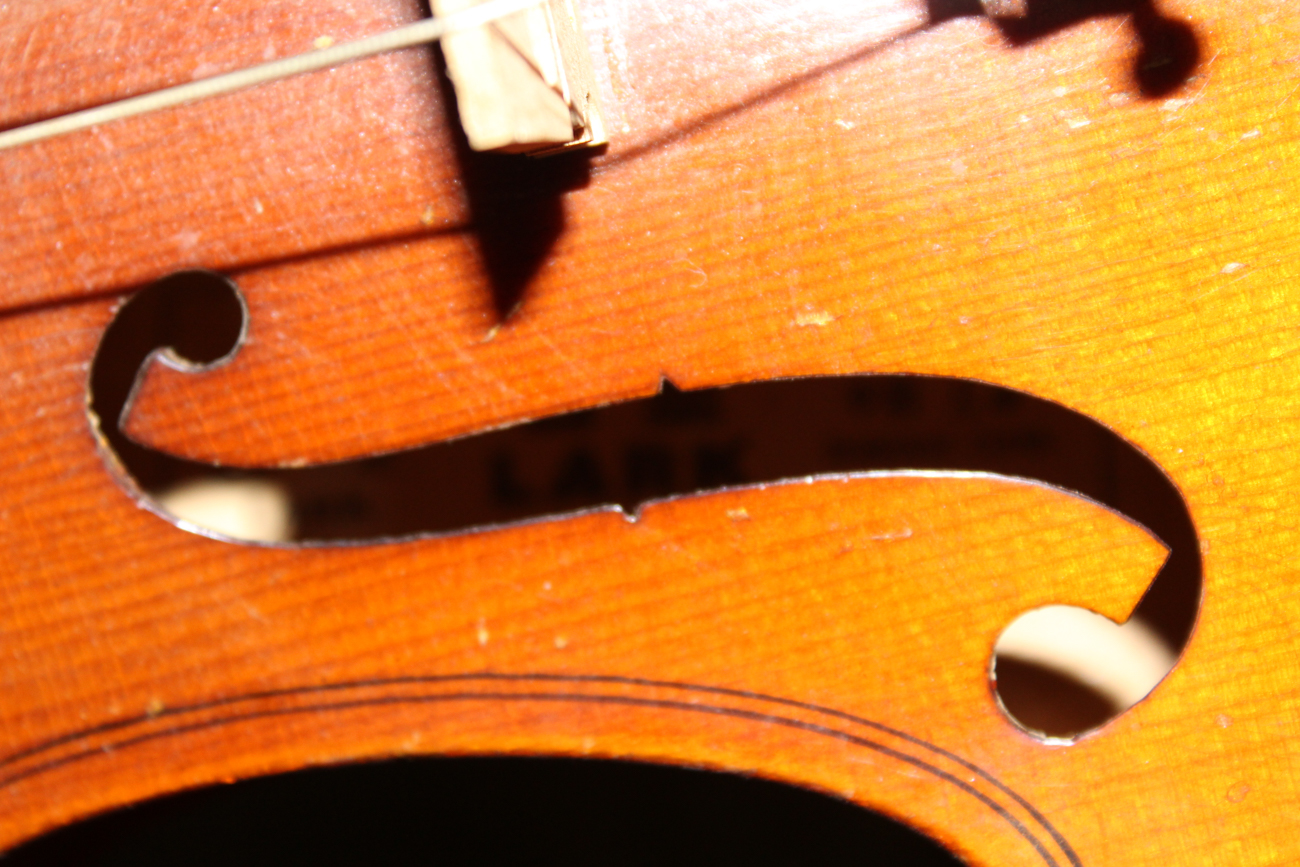 Vintage Skylark Violin and Case