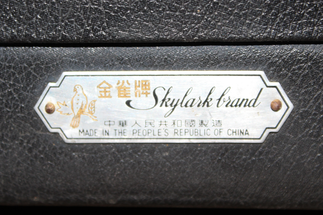 Vintage Skylark Violin and Case