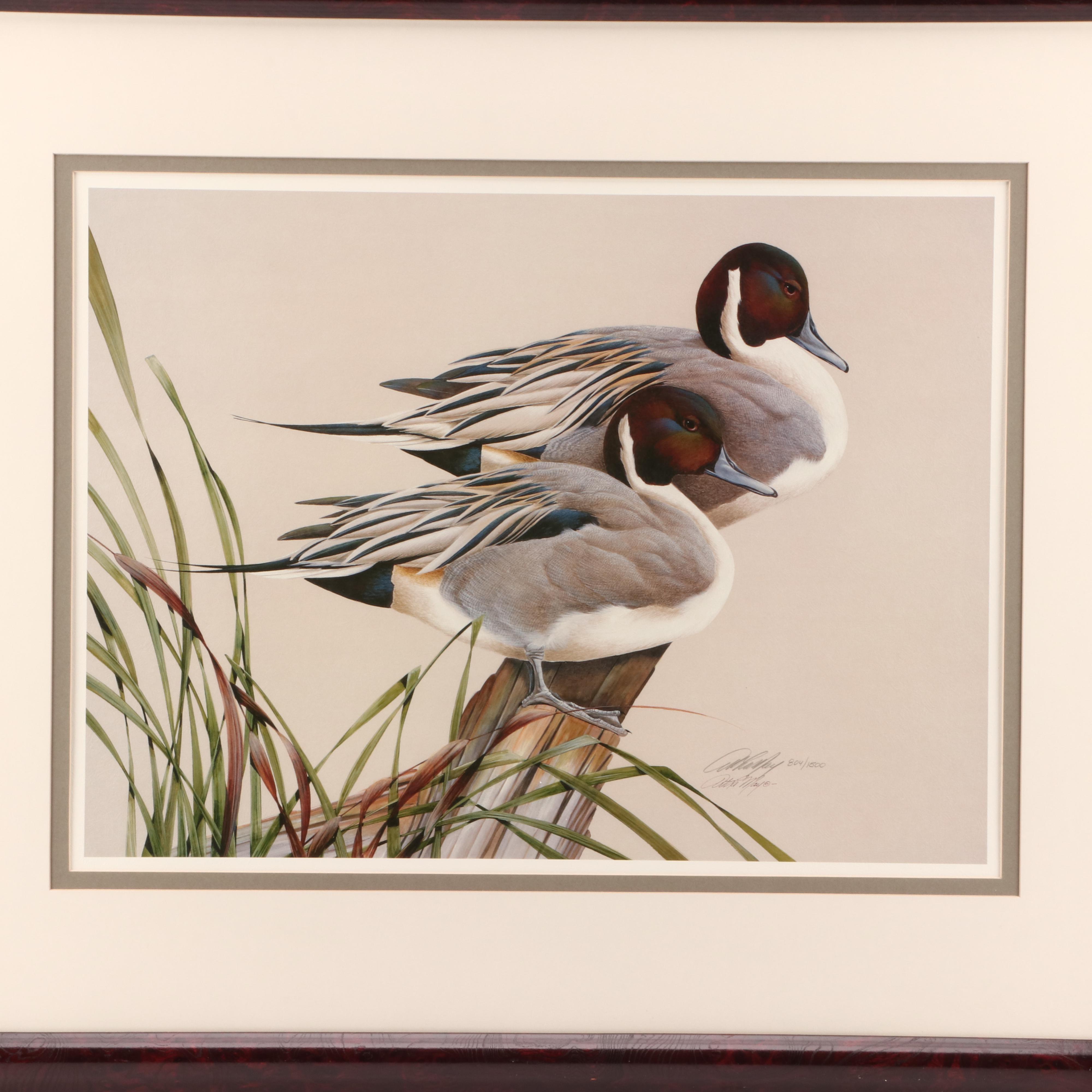 Art LaMay Limited Edition Offset Lithograph "Pintail Pals"