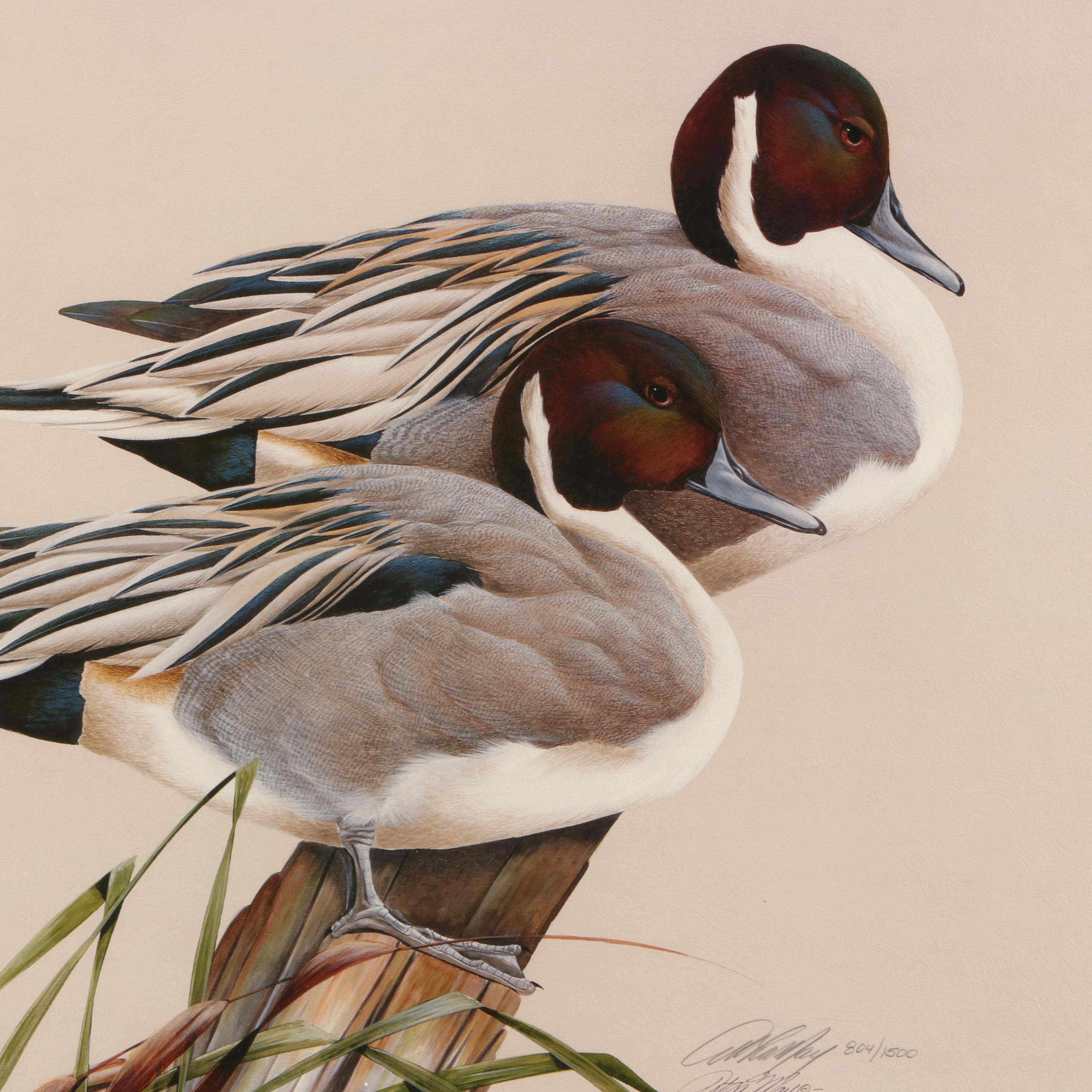 Art LaMay Limited Edition Offset Lithograph "Pintail Pals"