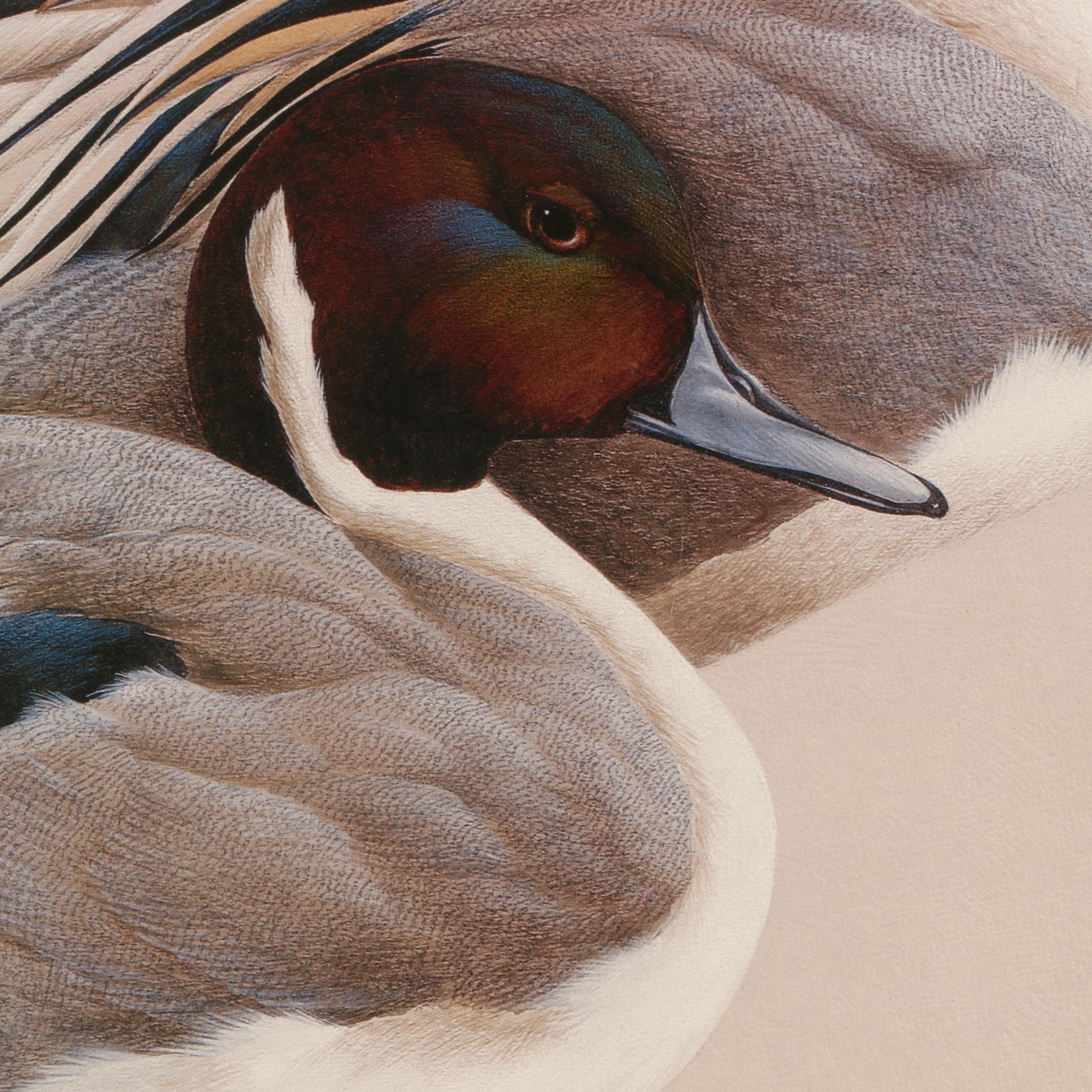 Art LaMay Limited Edition Offset Lithograph "Pintail Pals"