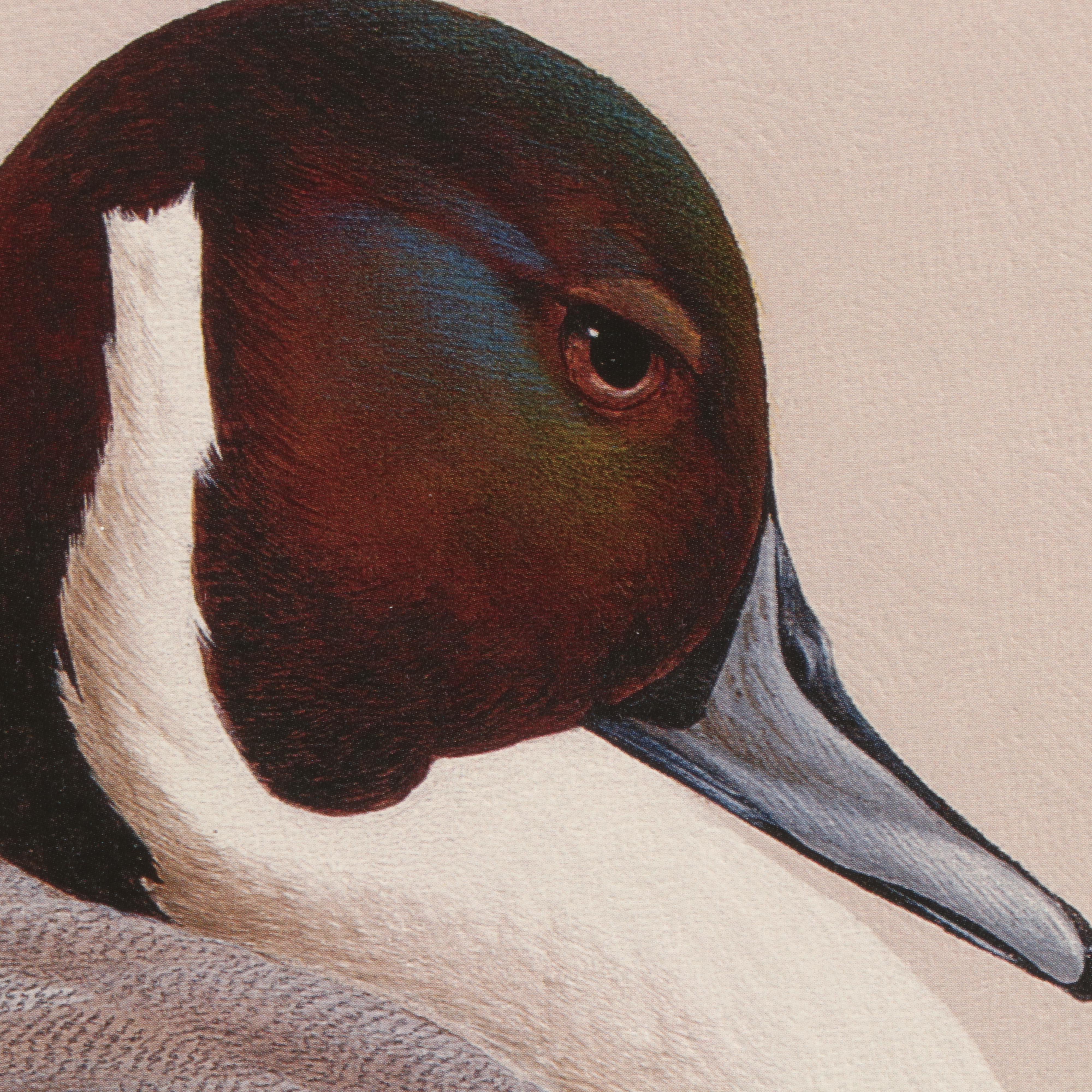 Art LaMay Limited Edition Offset Lithograph "Pintail Pals"