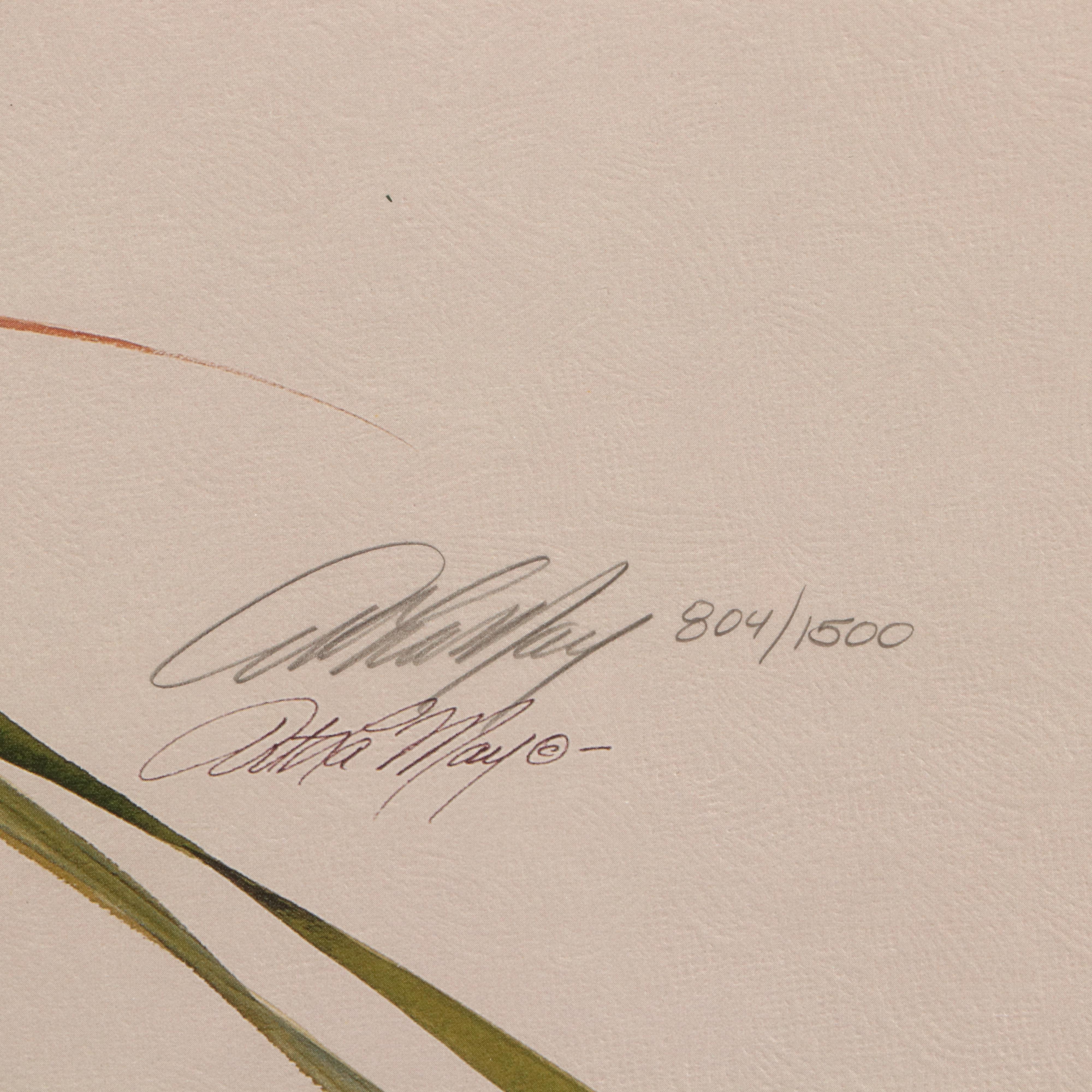 Art LaMay Limited Edition Offset Lithograph "Pintail Pals"