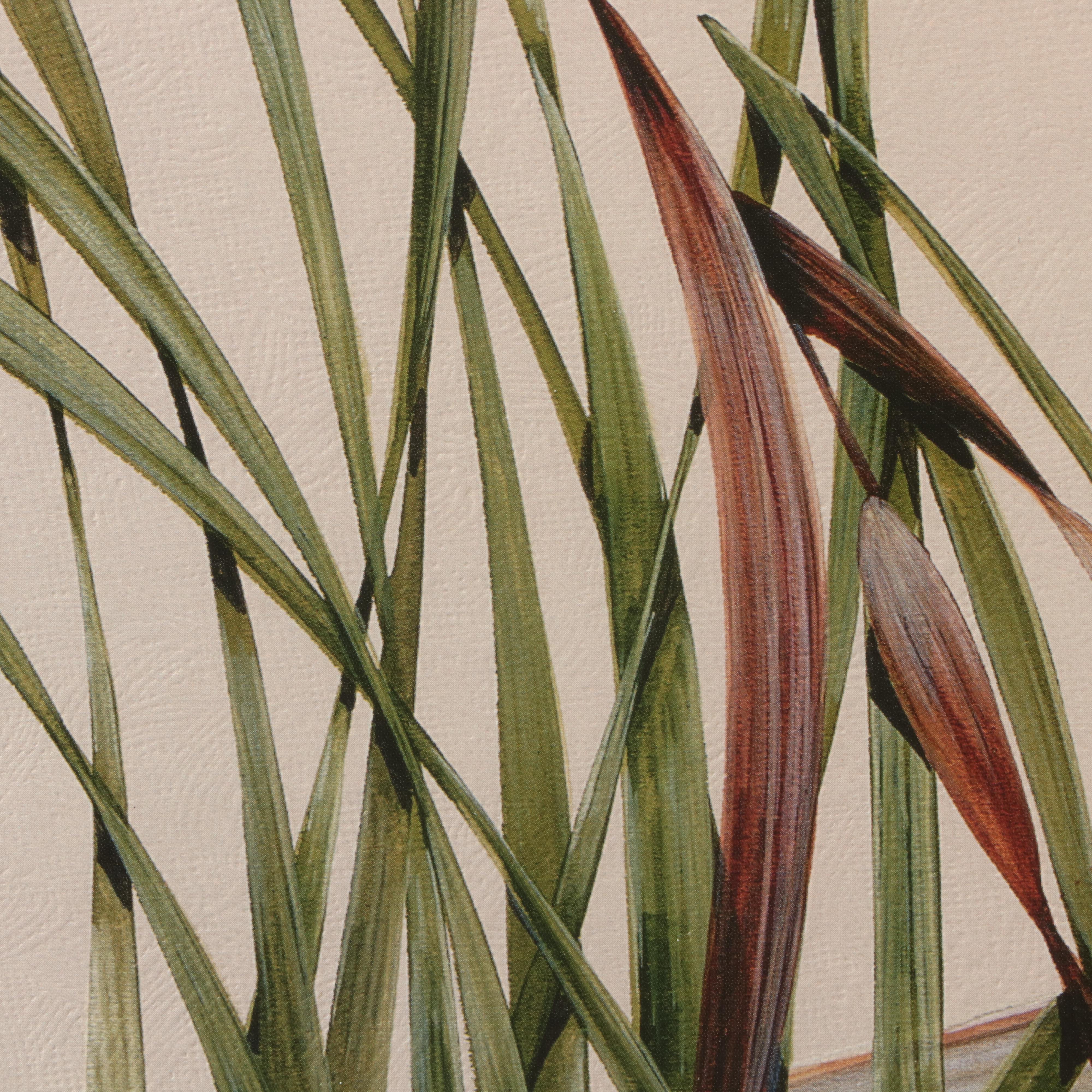 Art LaMay Limited Edition Offset Lithograph "Pintail Pals"