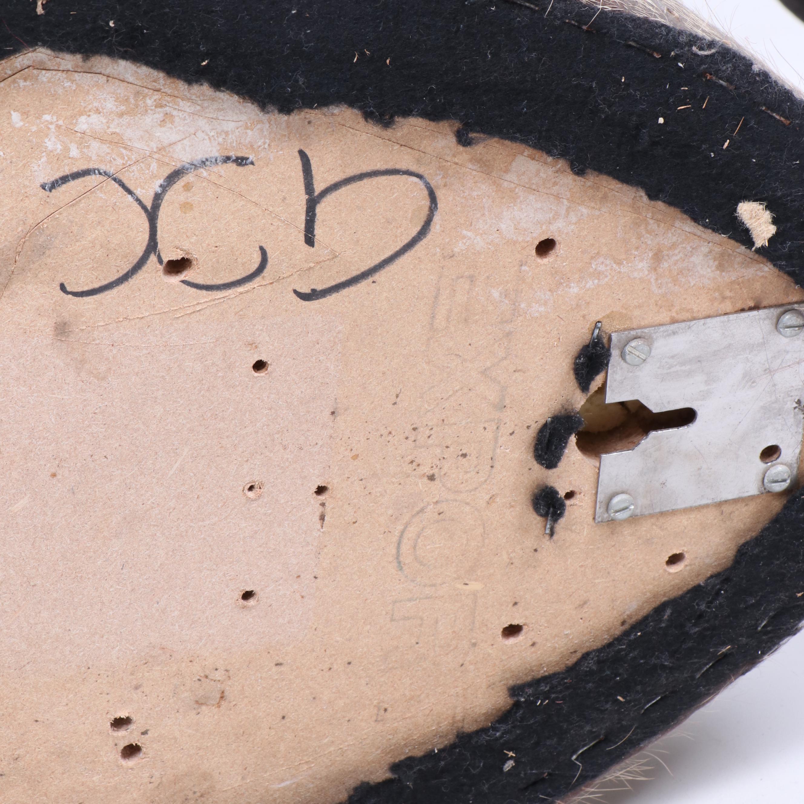 Greater Kudu Taxidermy Shoulder Mount