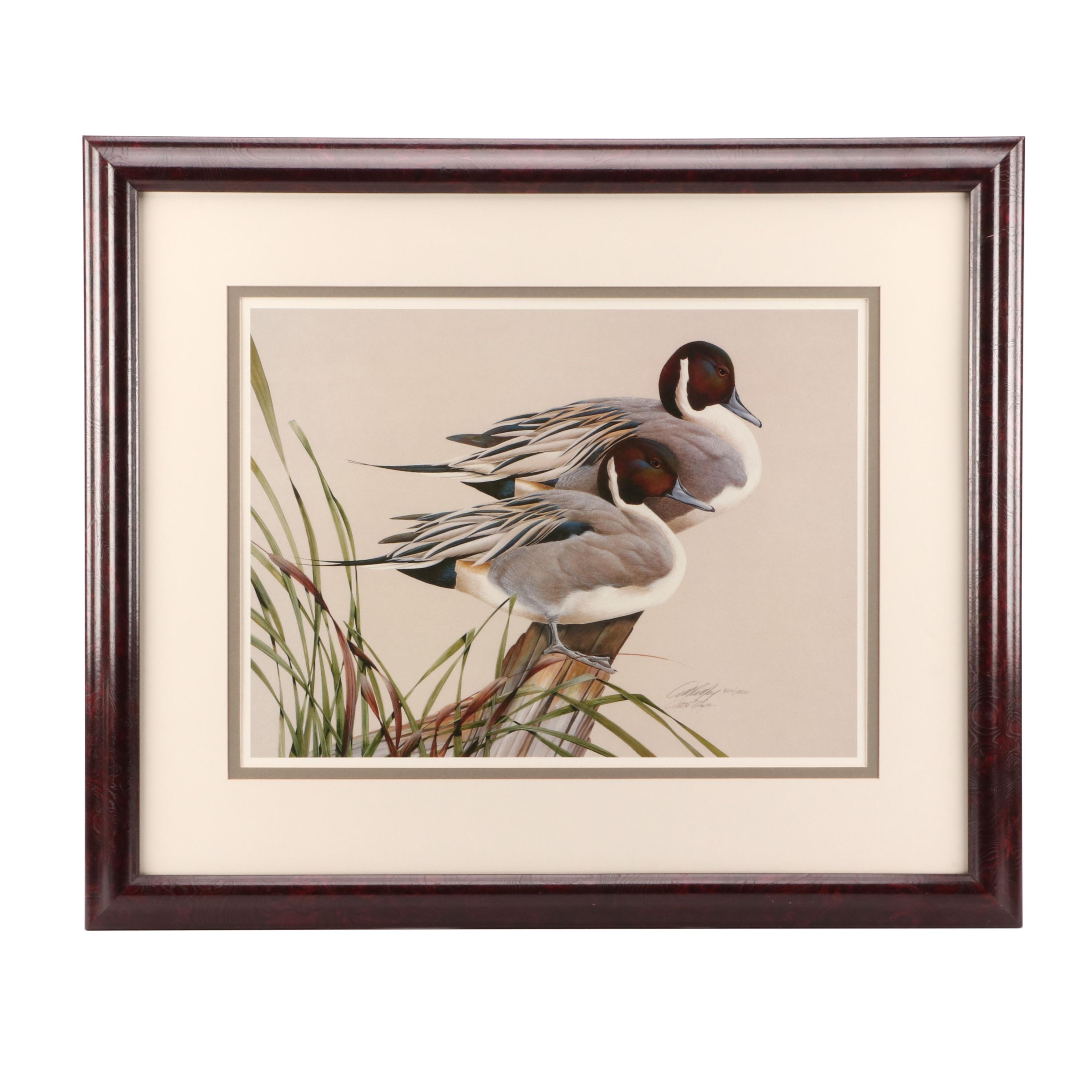 Art LaMay Limited Edition Offset Lithograph "Pintail Pals"