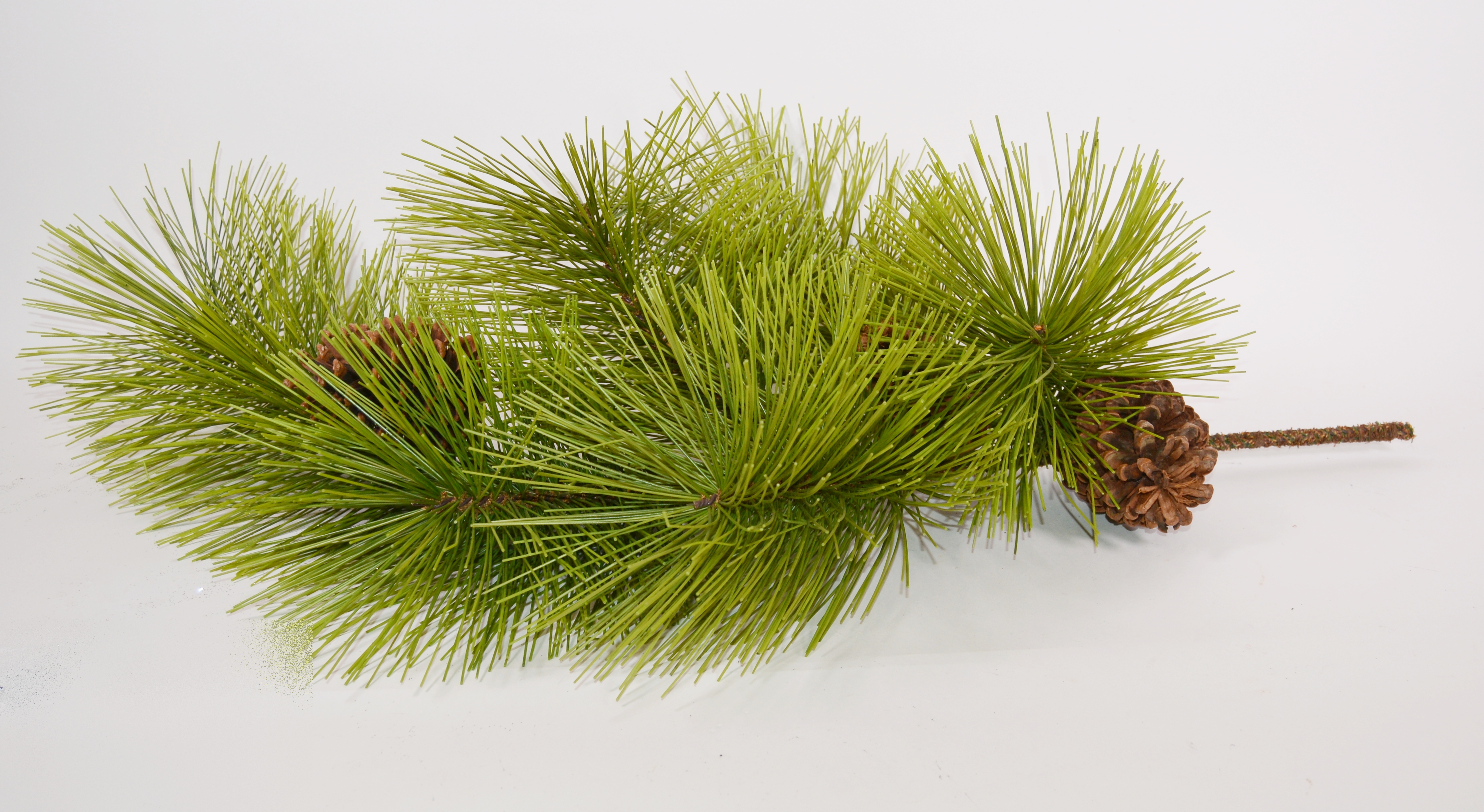 Collection of Decorative Pine Cones and Faux Branches