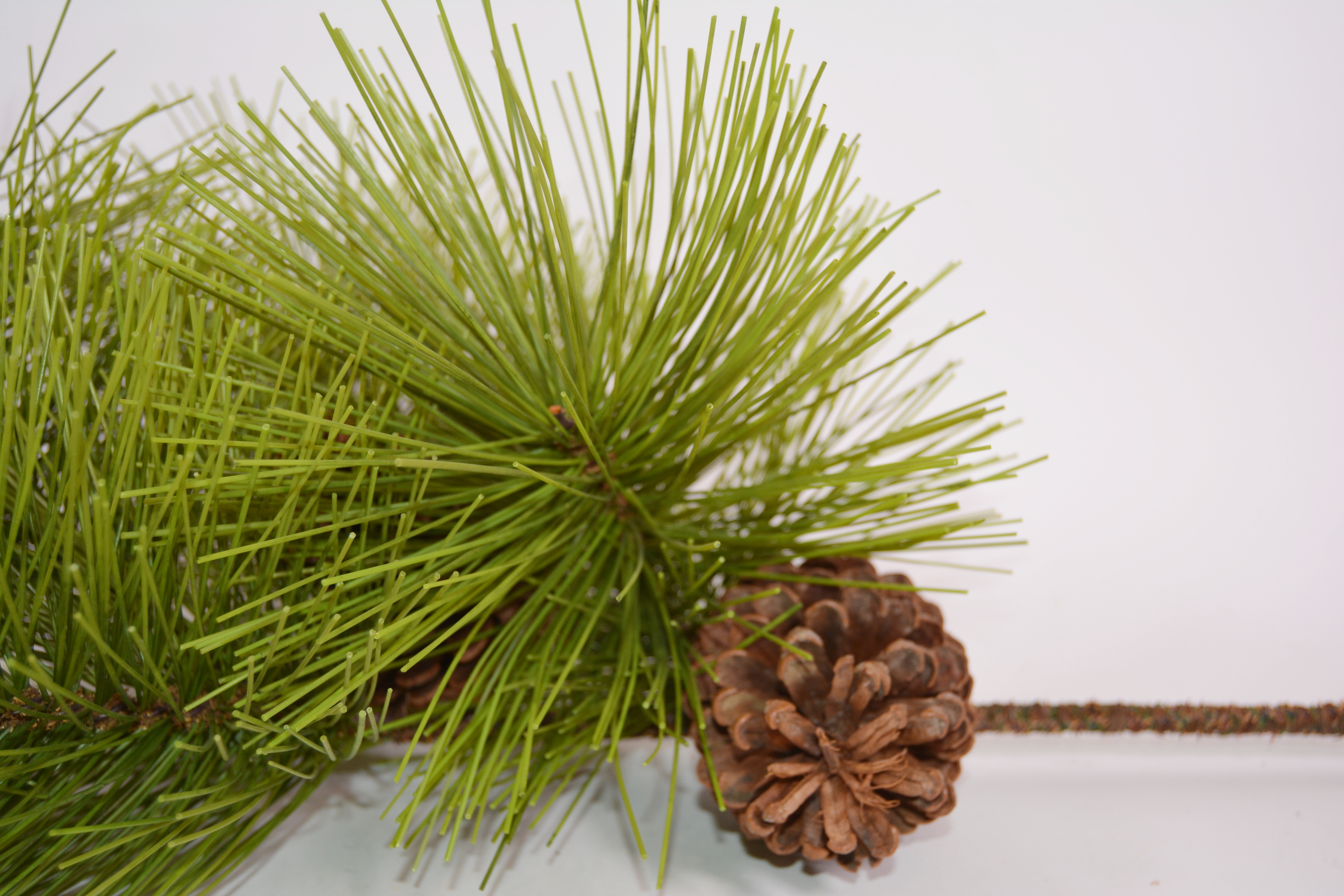 Collection of Decorative Pine Cones and Faux Branches