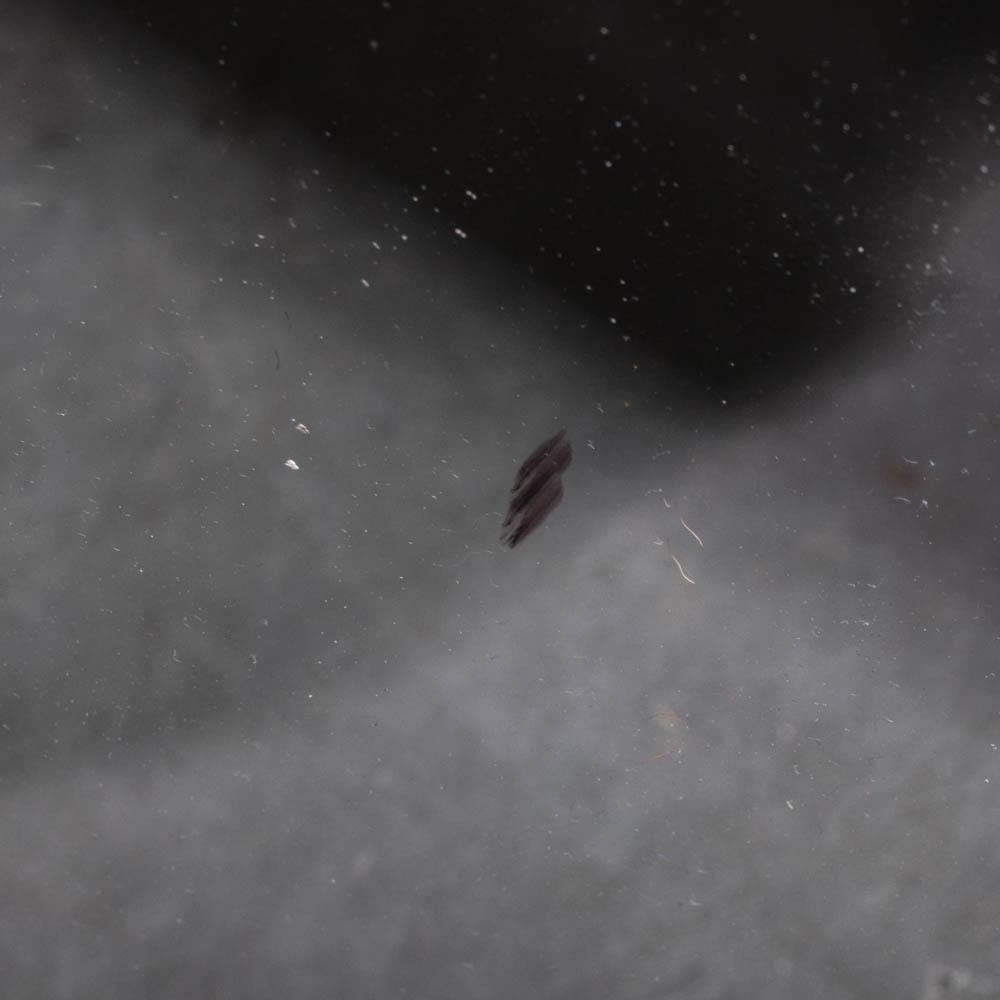 Contemporary Dresser and Mirror from Lea Industries