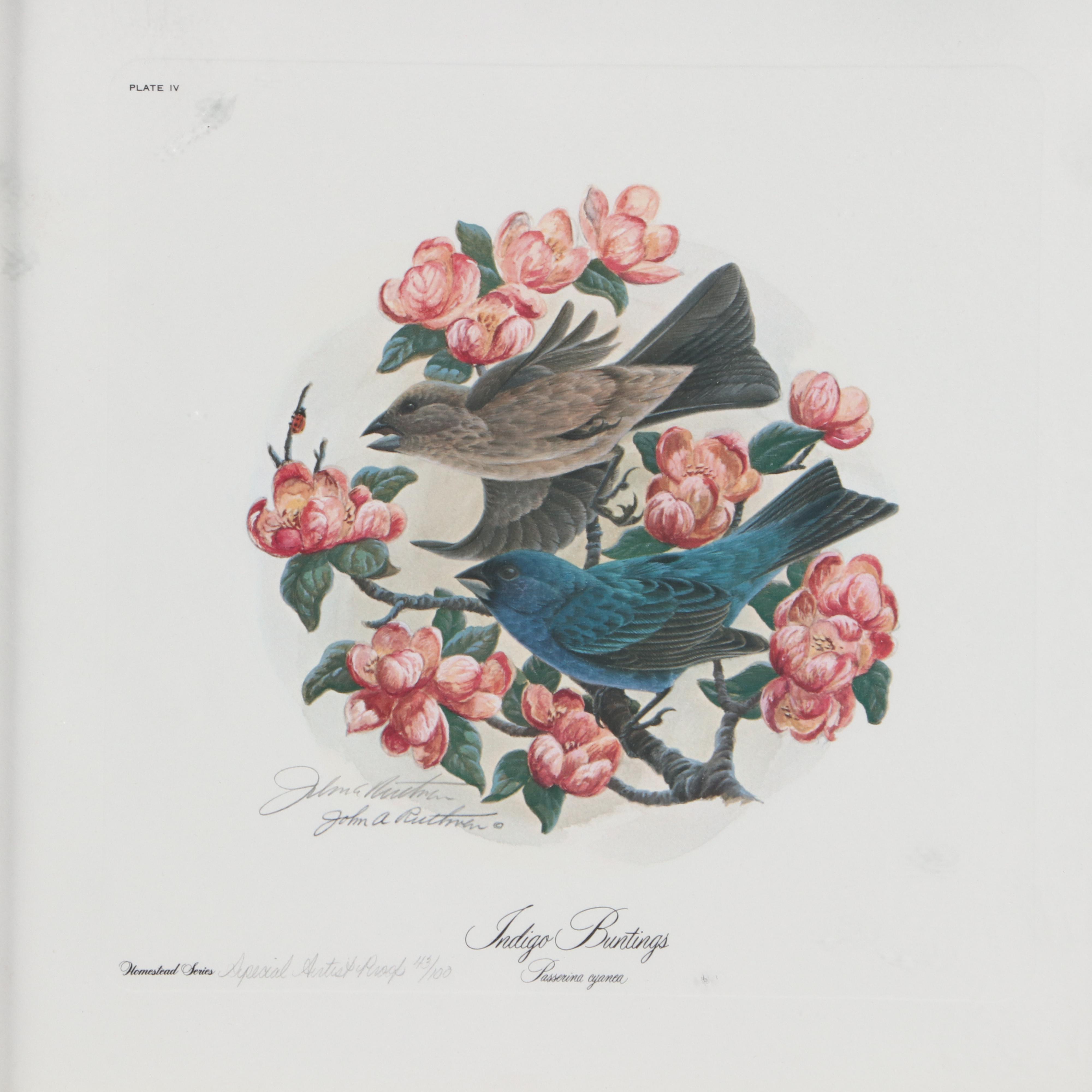 John Ruthven Artist's Proof Offset Lithograph "Indigo Buntings"