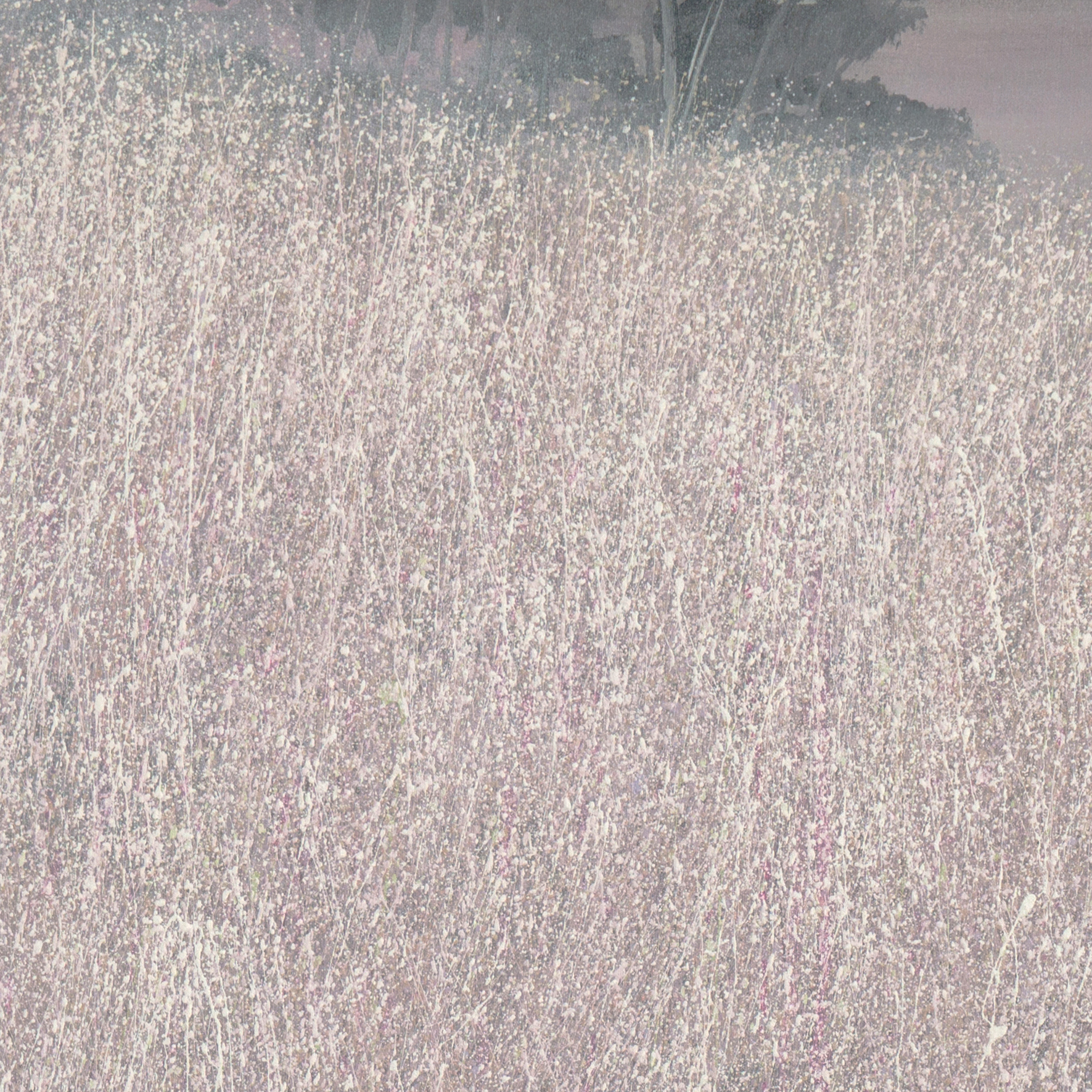Duane Albert Armstrong Oil Painting "Grassy Field with Ladybird"