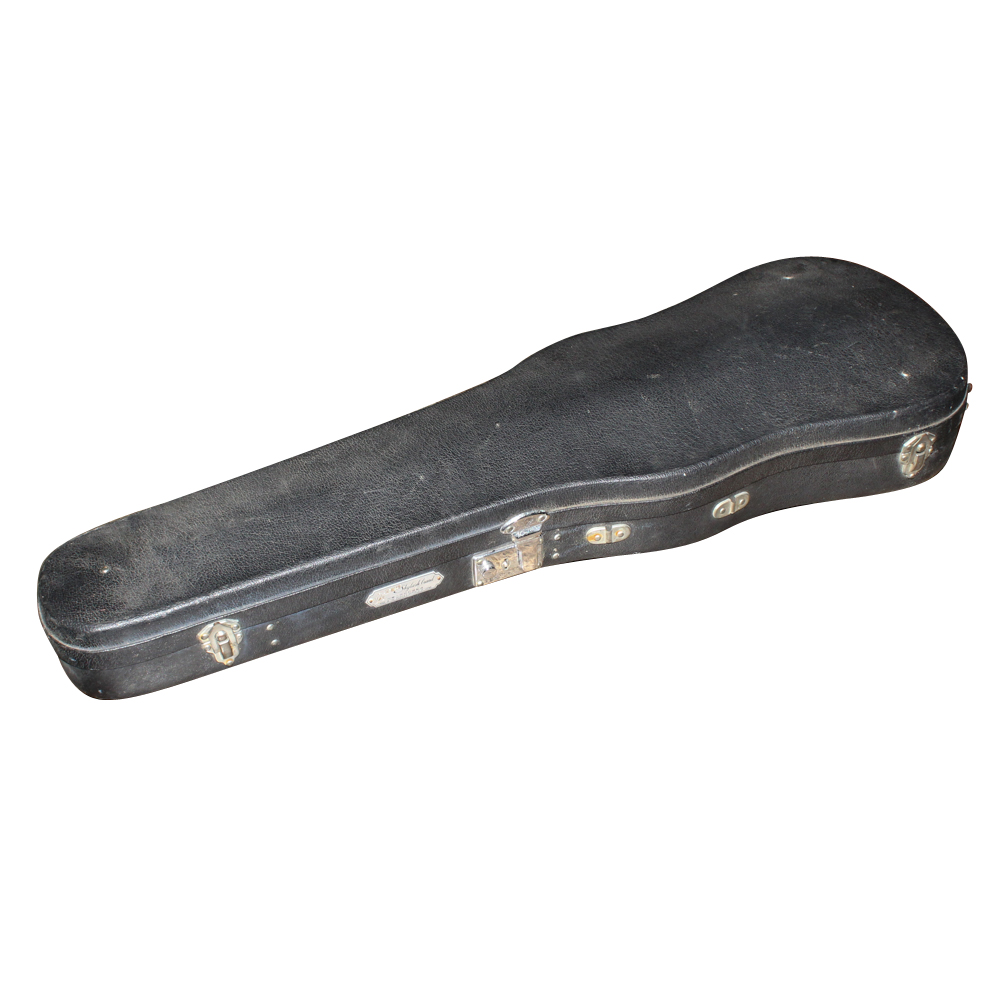 Vintage Skylark Violin and Case