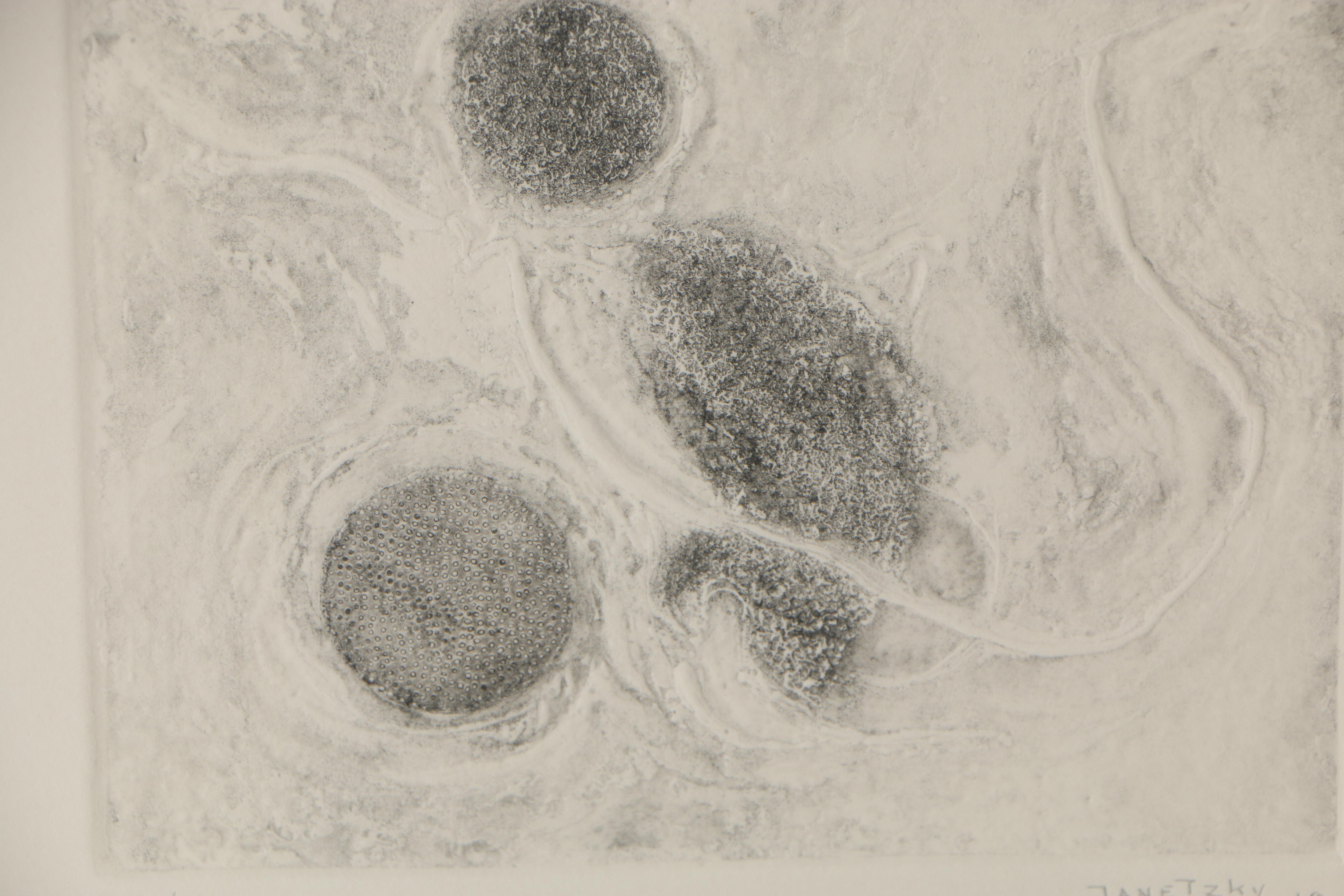 Luc Janetzky Abstract Etching