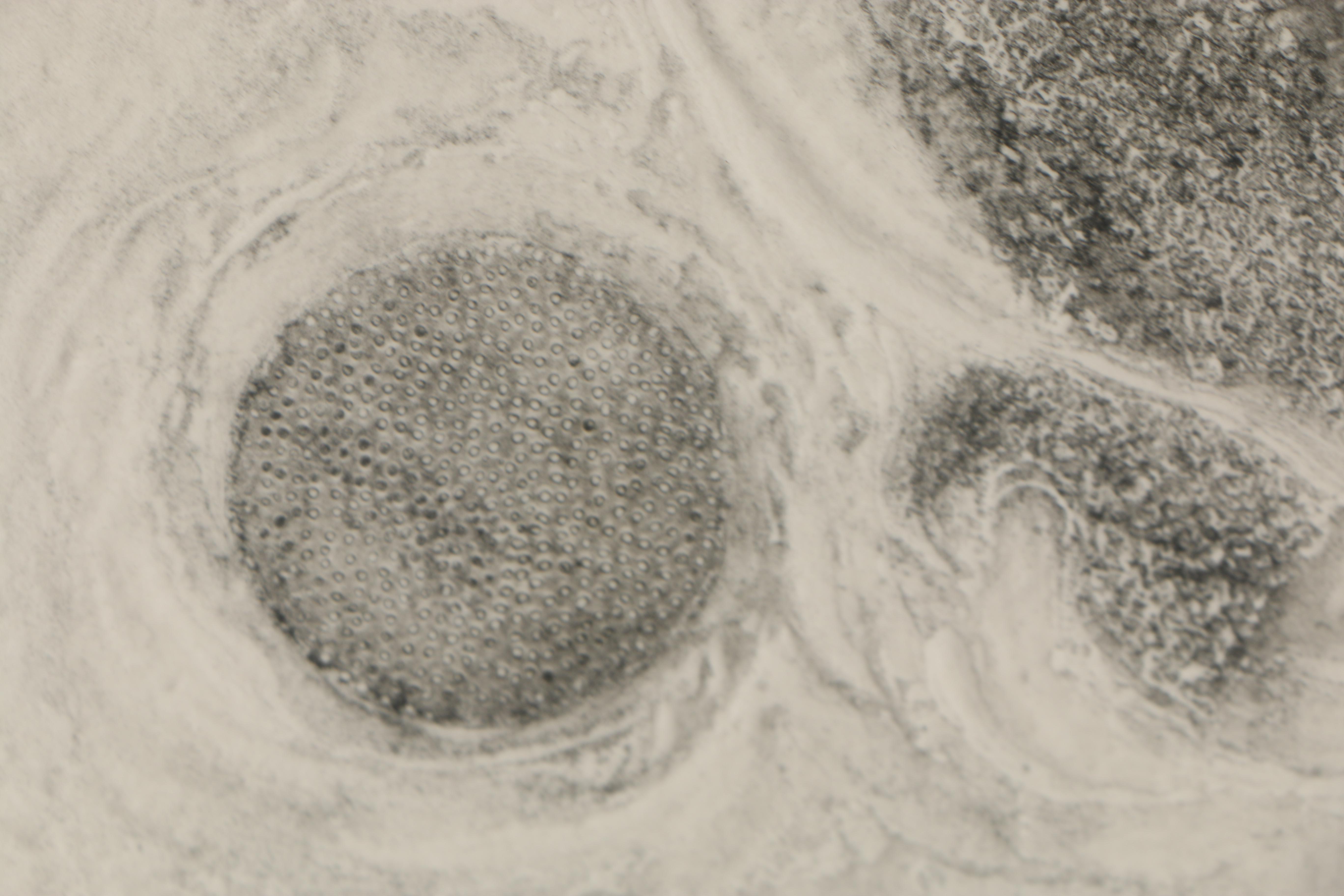 Luc Janetzky Abstract Etching