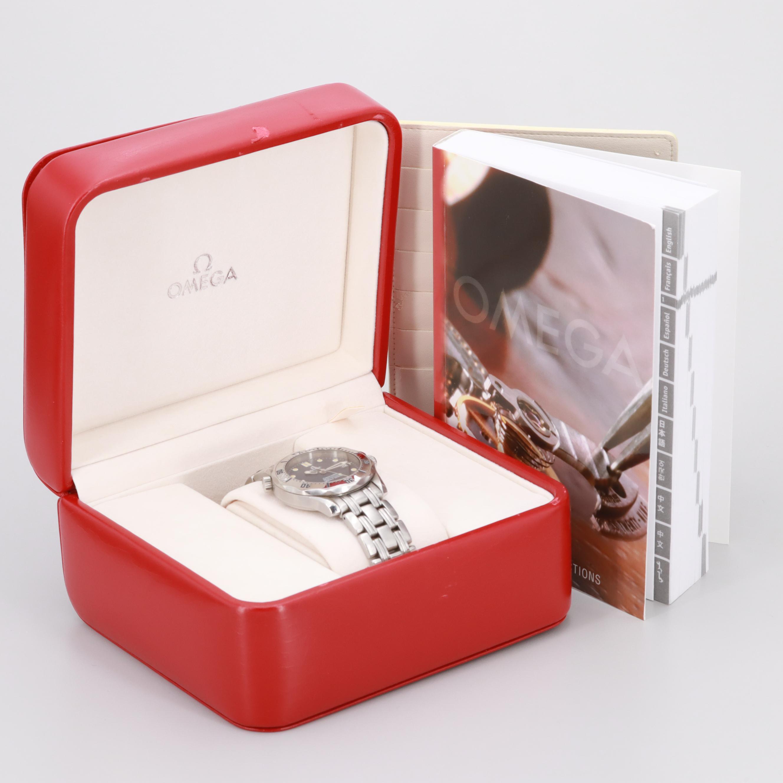 Omega Seamaster Professional 300M Stainless Steel Watch