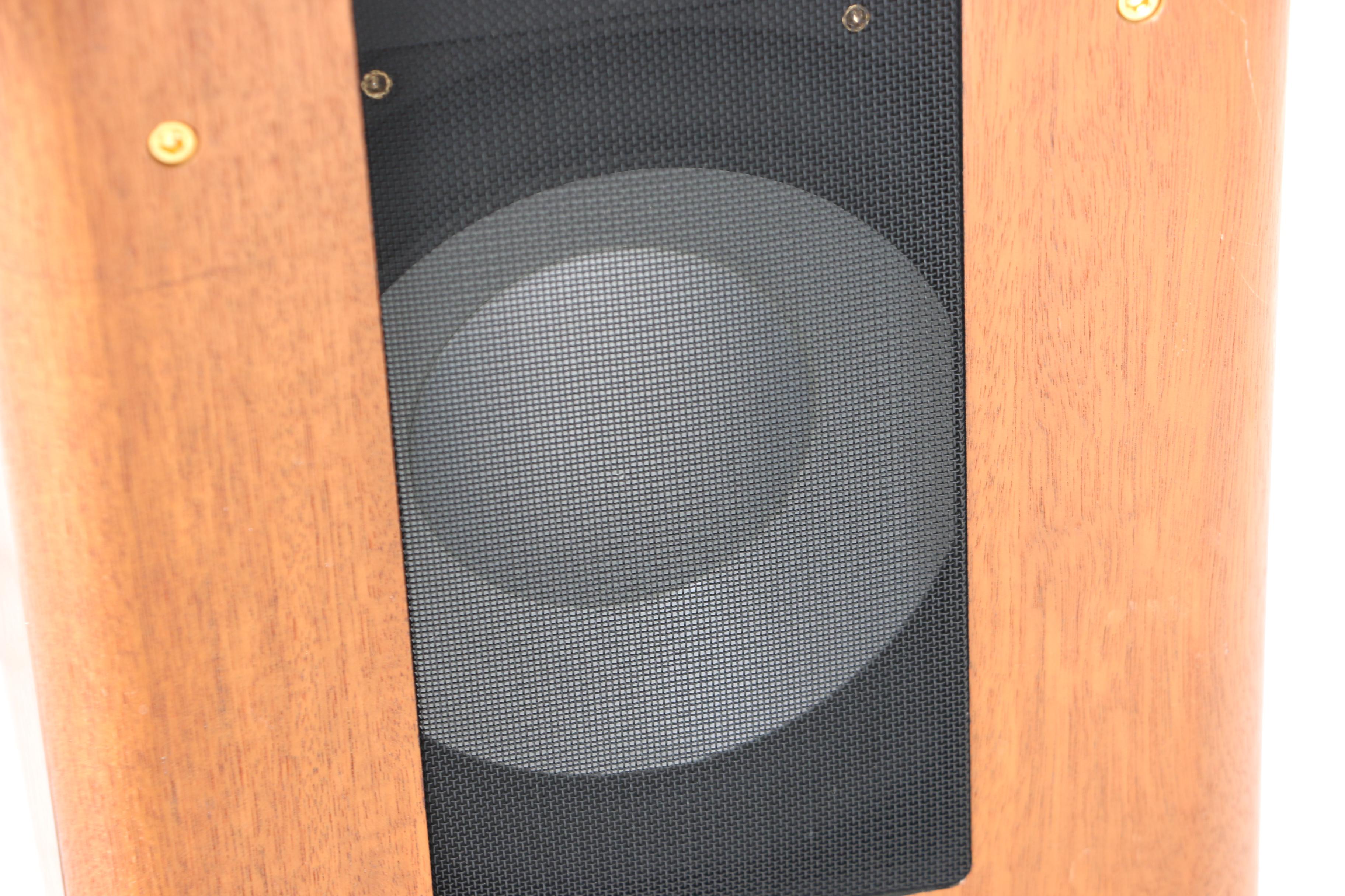 Thiel SmartSub SW-1 Subwoofer System