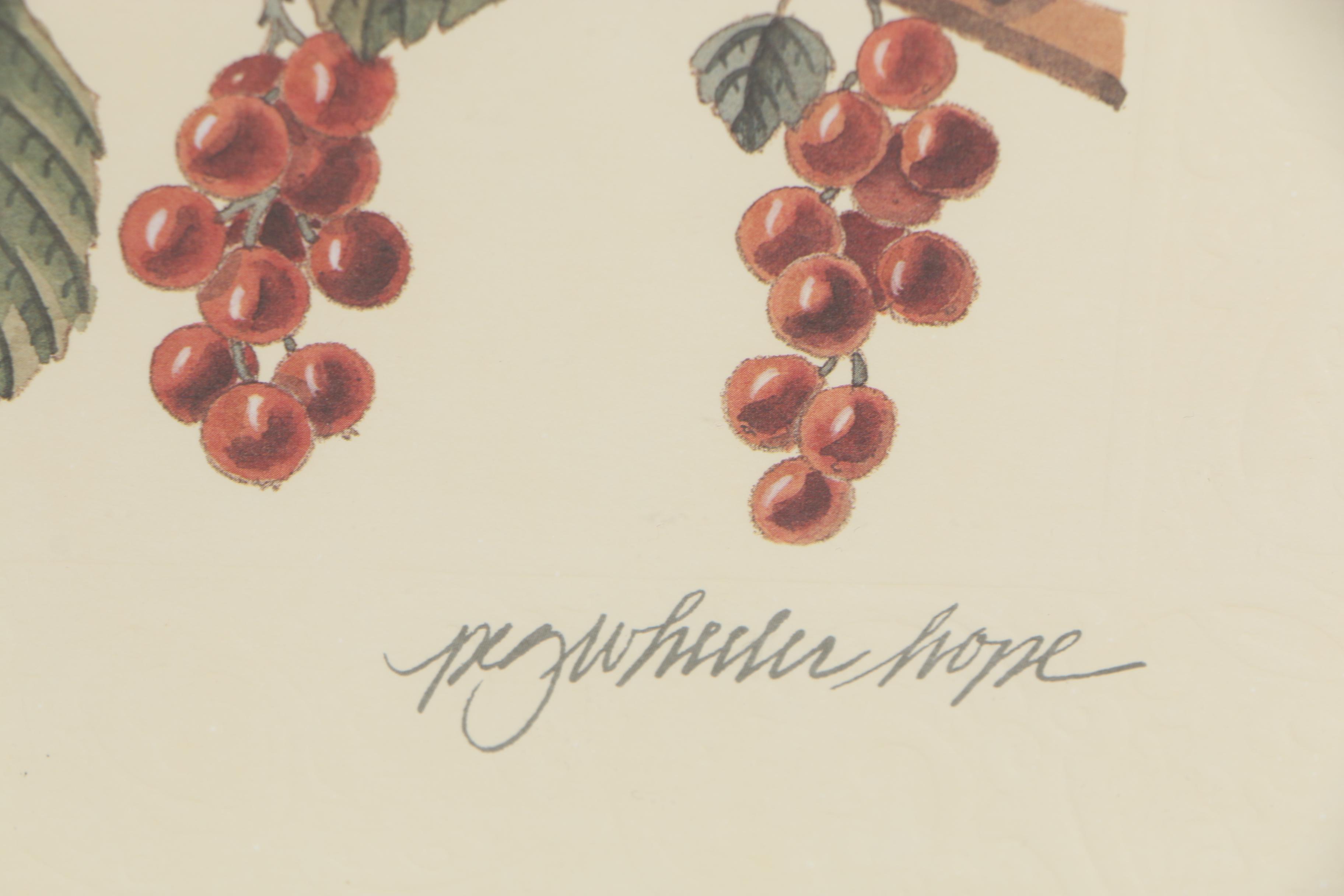 Offset Lithographs after Peg Wheeler Hope