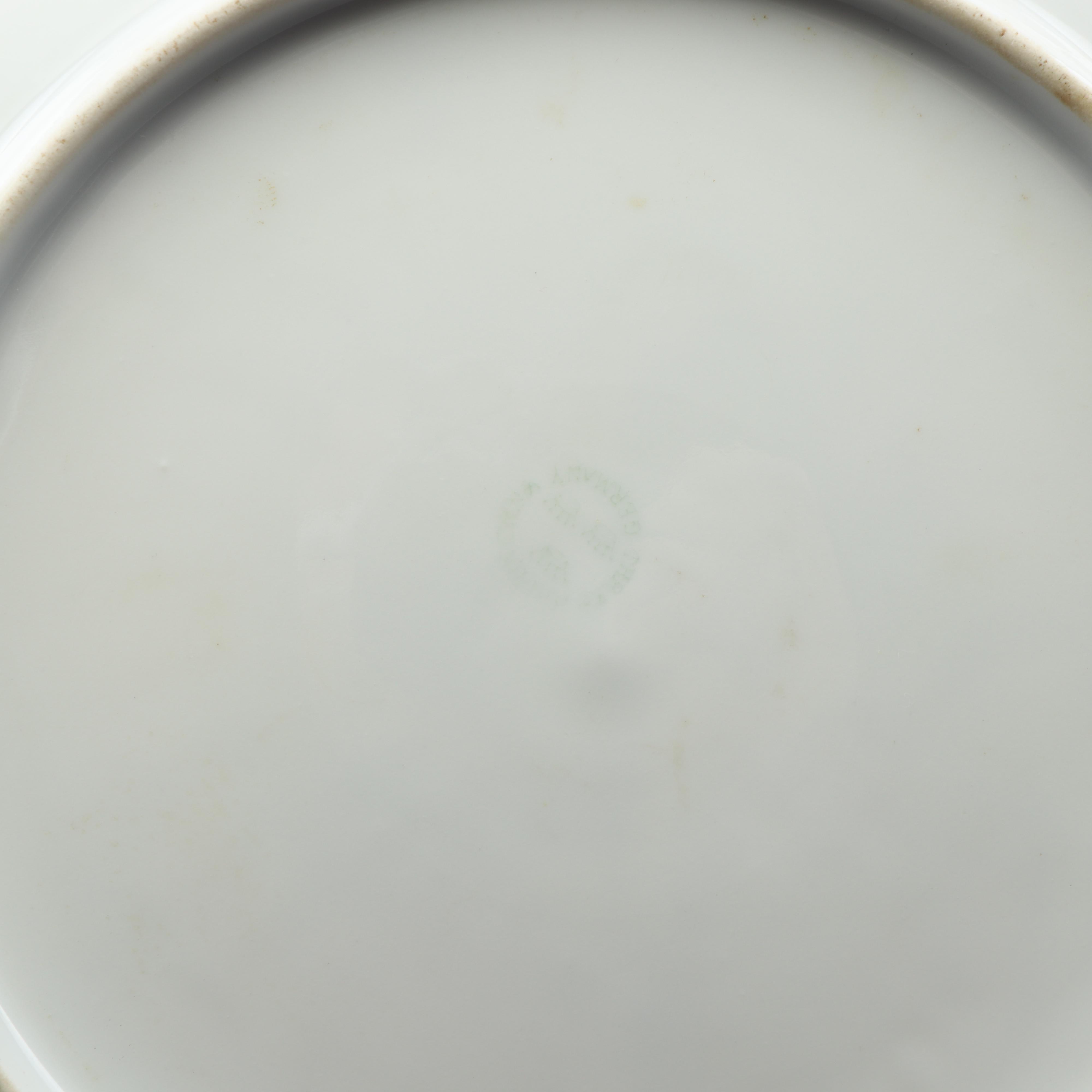 Vintage Floral Porcelain Dinnerware featuring Haviland