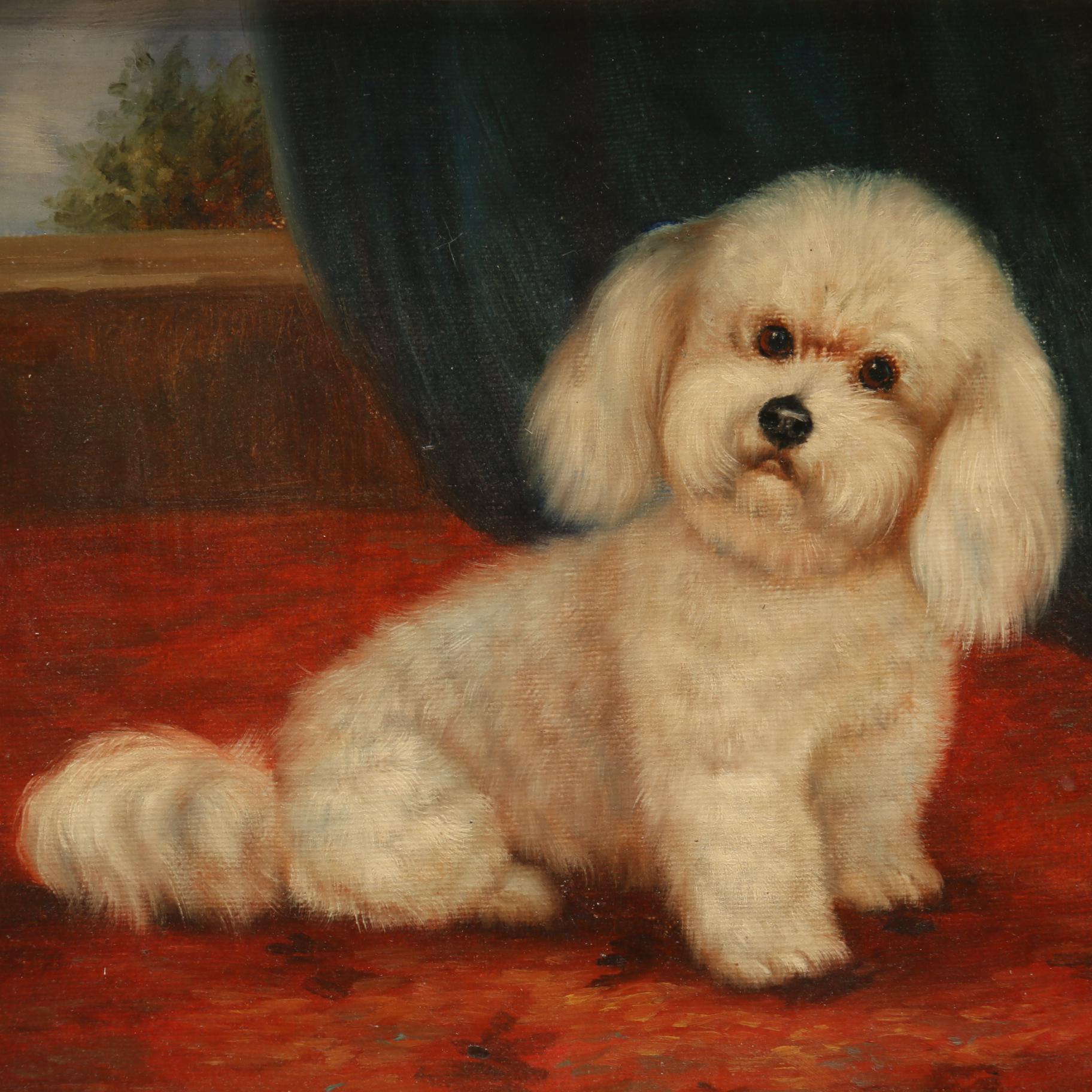 Oil Painting Portrait of Small White Dog