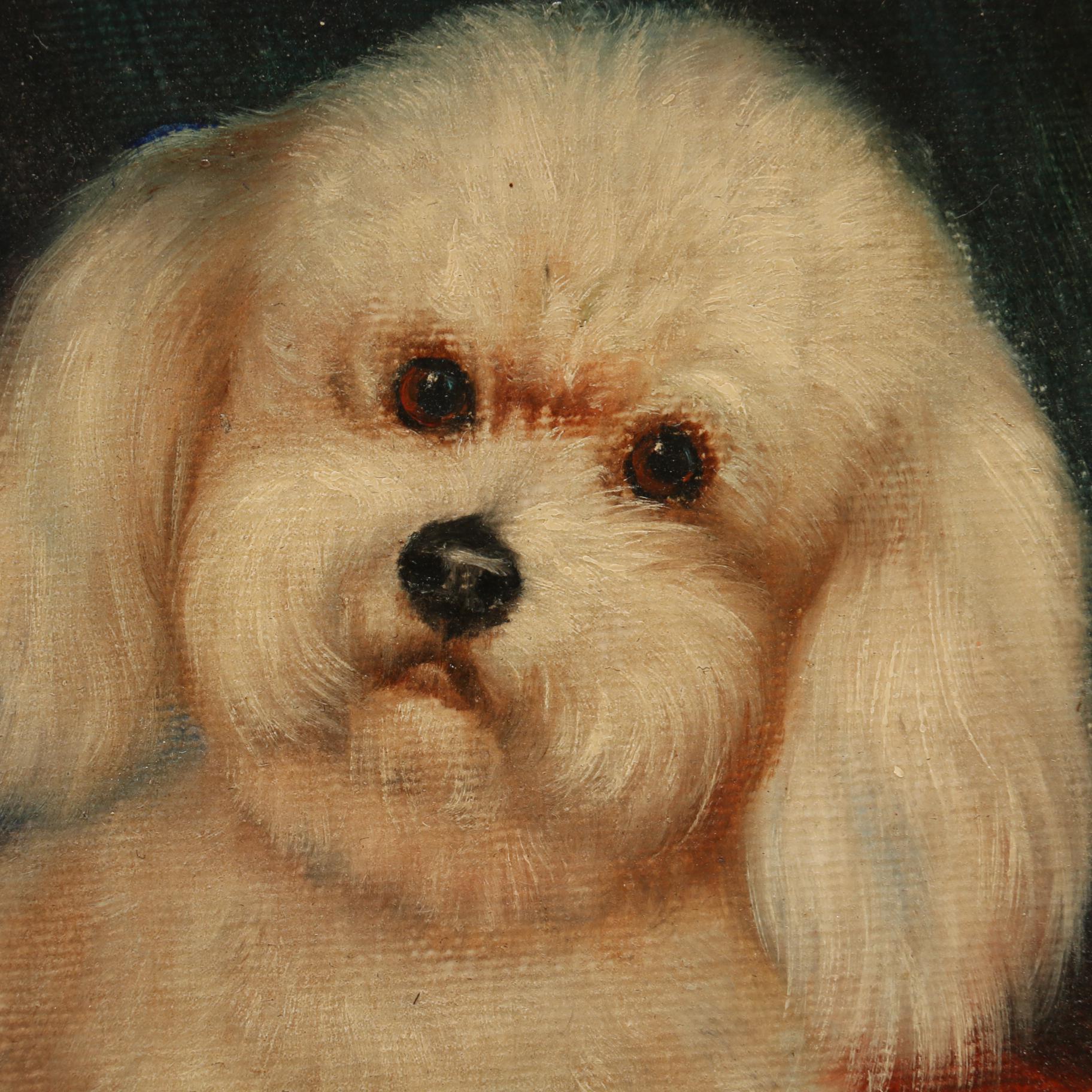 Oil Painting Portrait of Small White Dog