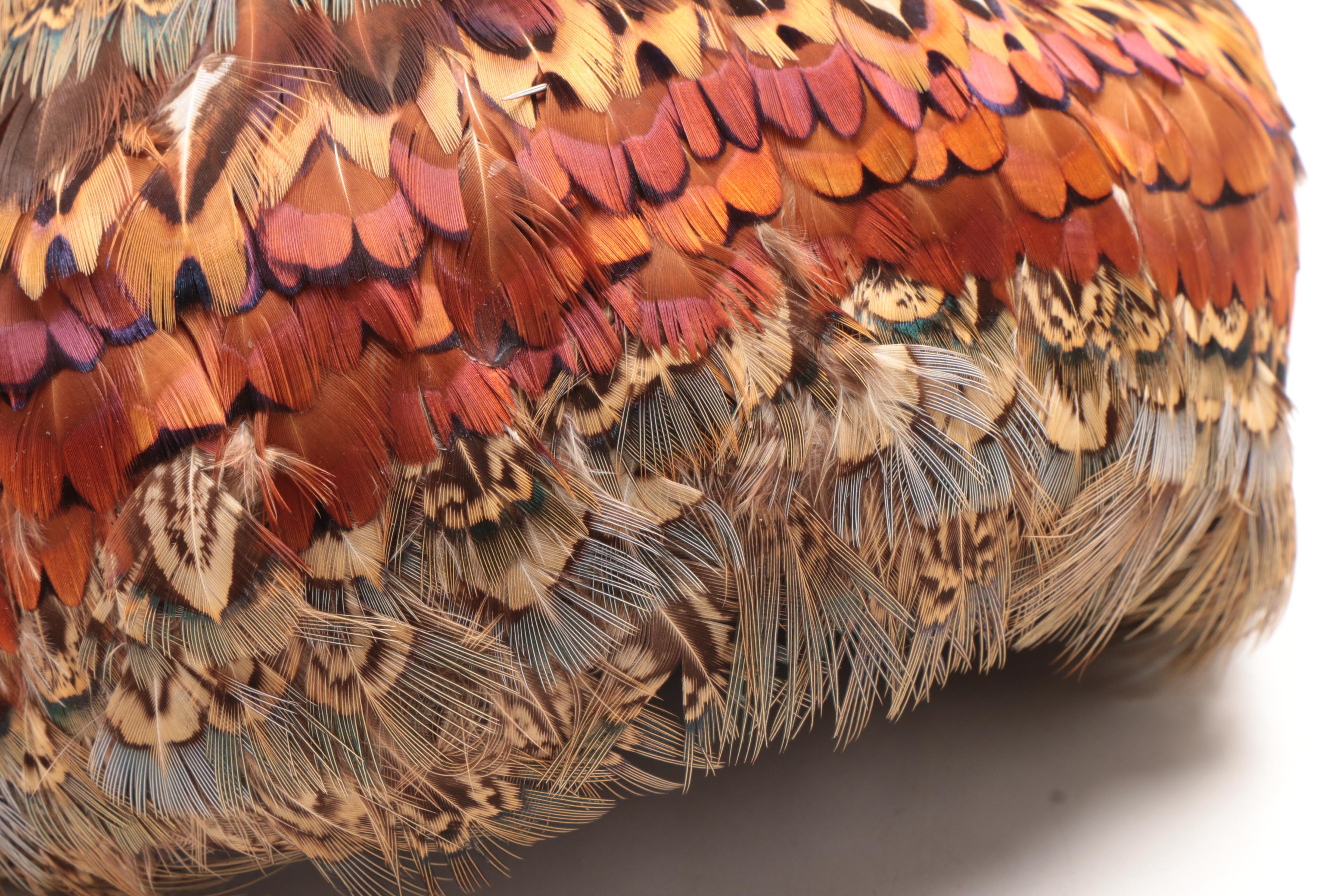 Vintage Hats Including Mr. Phil and Lisette