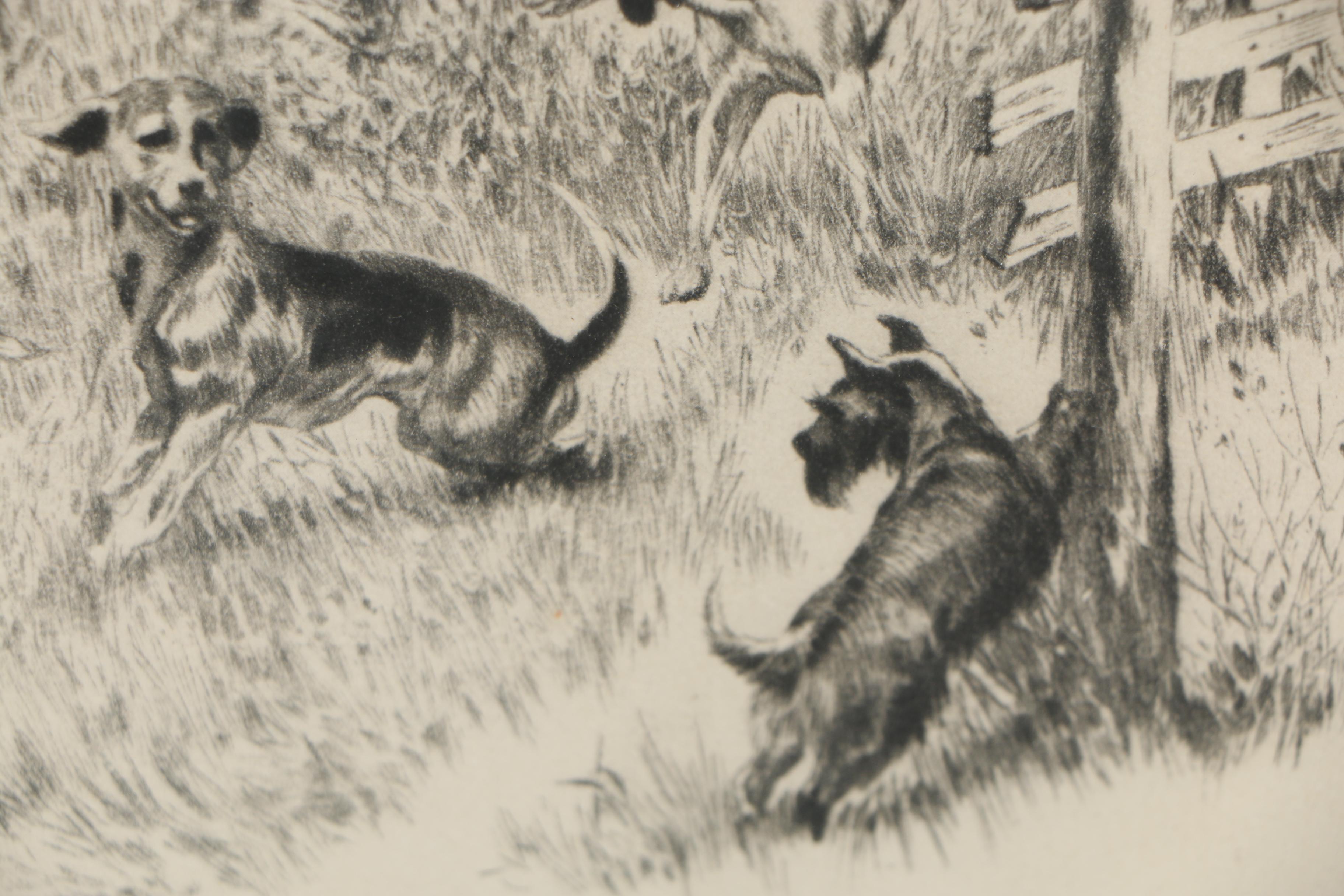 Rotogravure after R.H. Palenske "Look - I've Got Him"