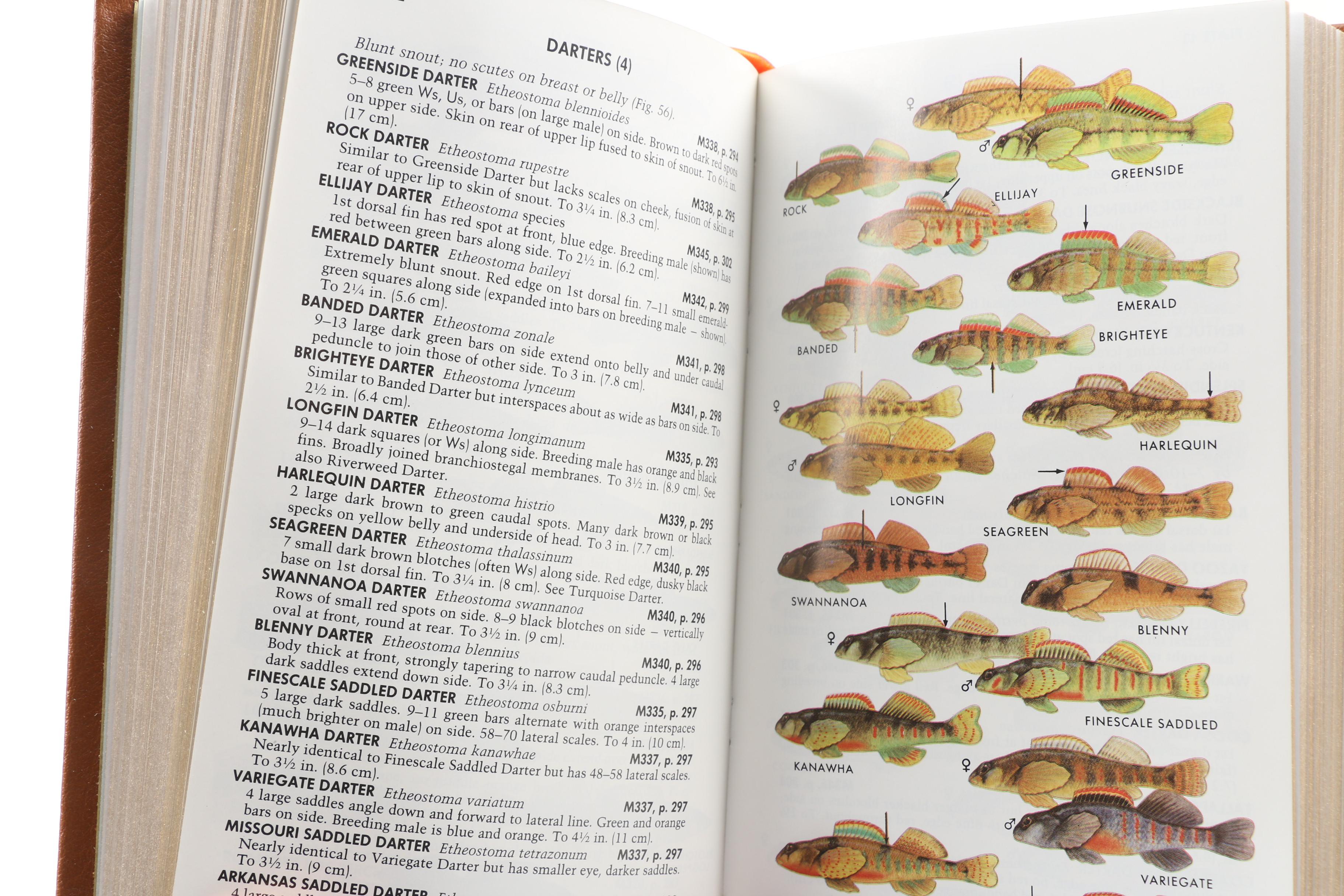 Easton Press Editions of "Roger Tory Peterson Field Guides"