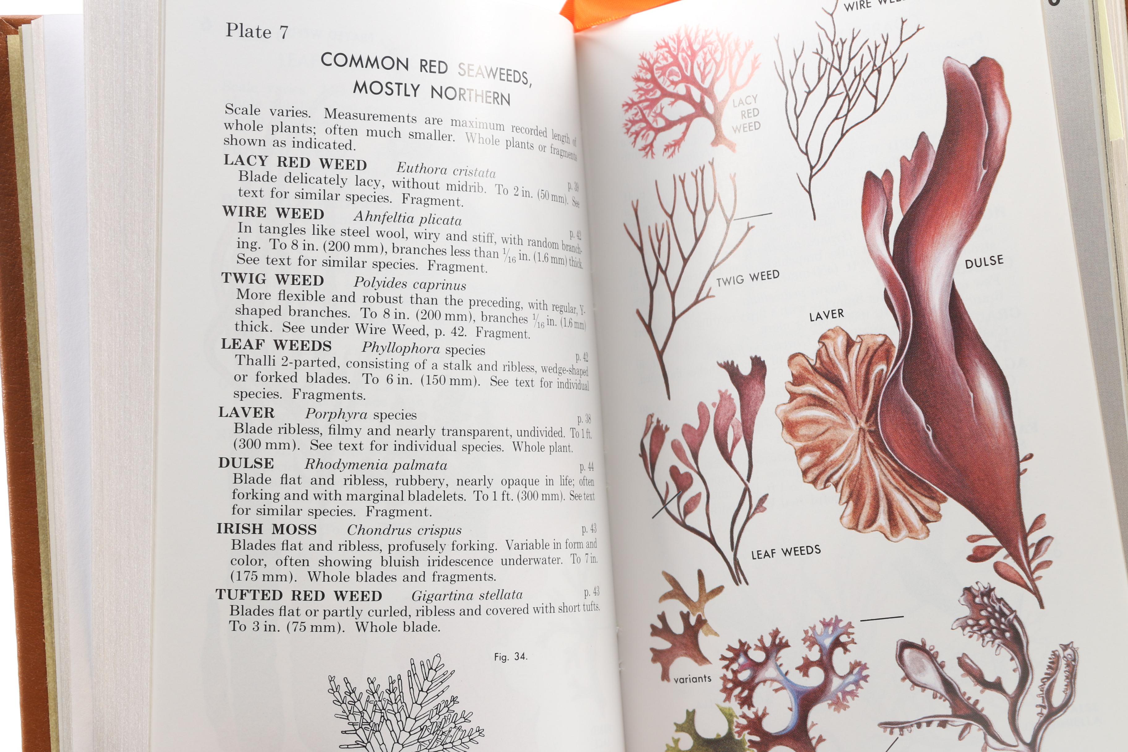 Easton Press Editions of "Roger Tory Peterson Field Guides"