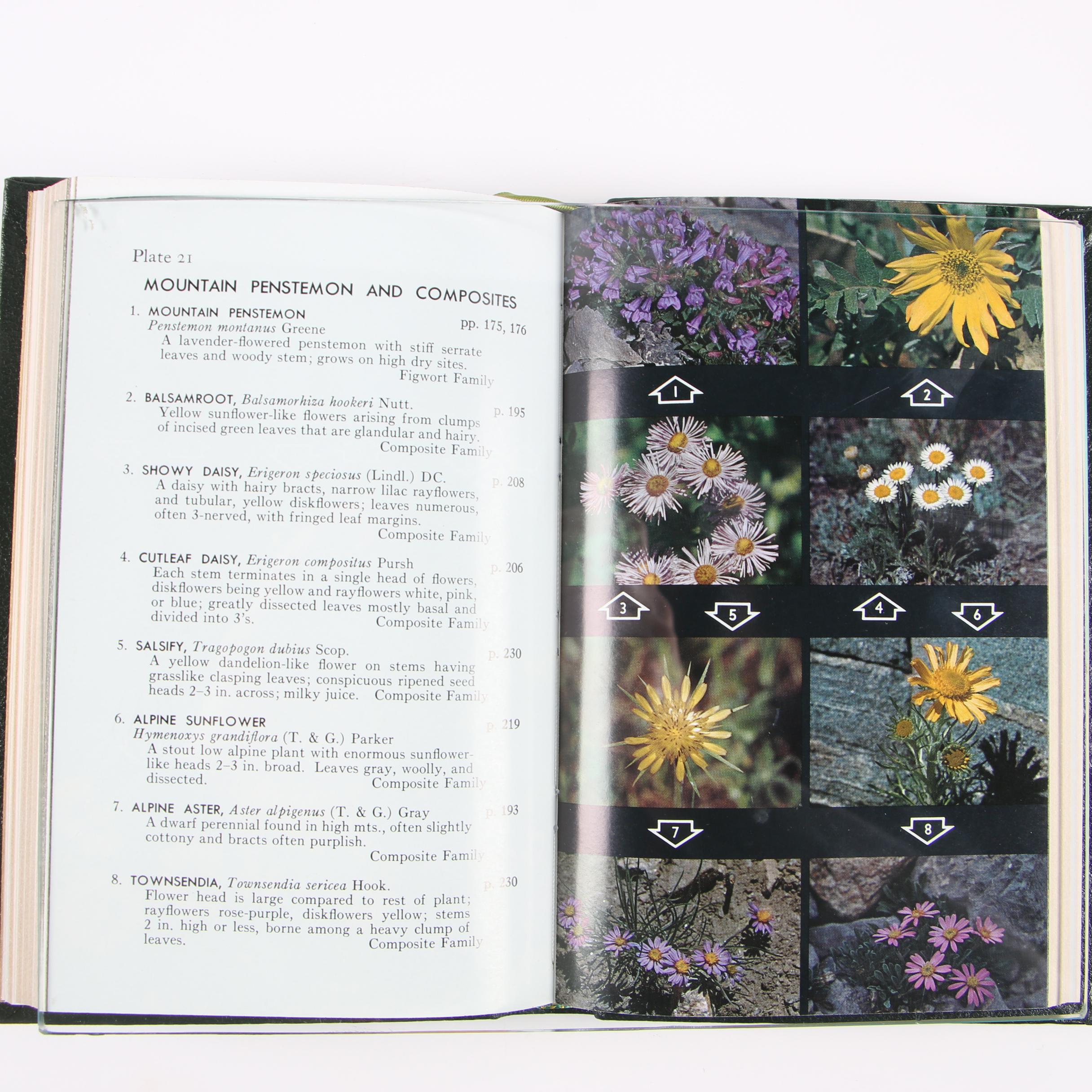 Easton Press Editions of "Roger Tory Peterson Field Guides"