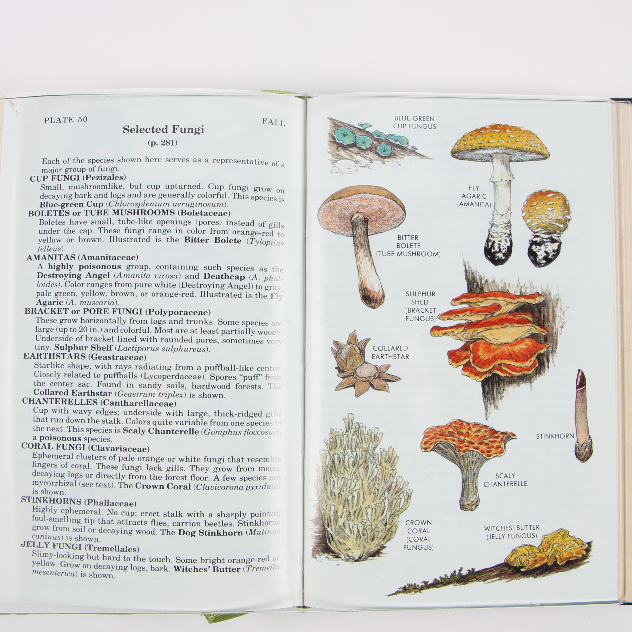 Easton Press Editions of "Roger Tory Peterson Field Guides"