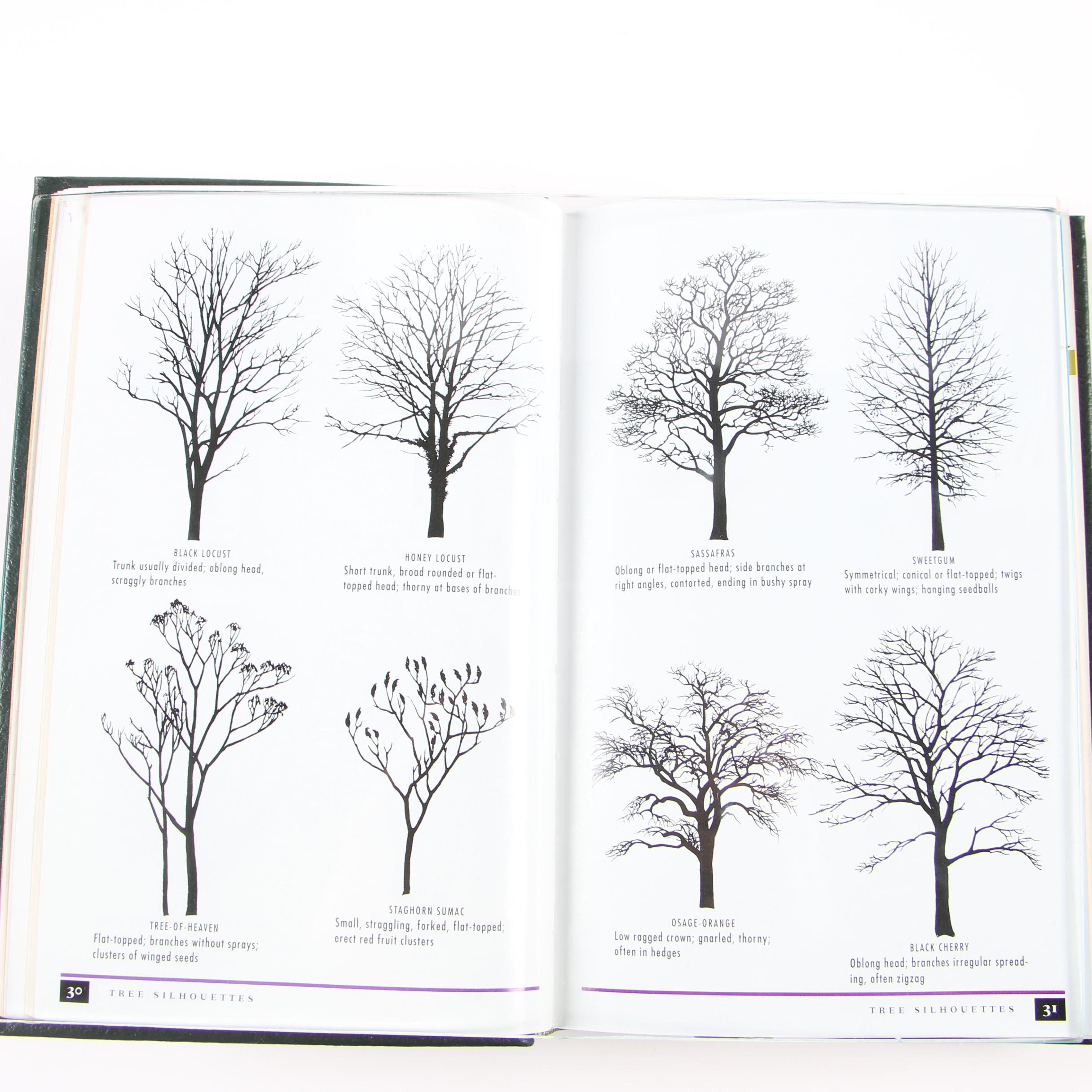 Easton Press Editions of "Roger Tory Peterson Field Guides"