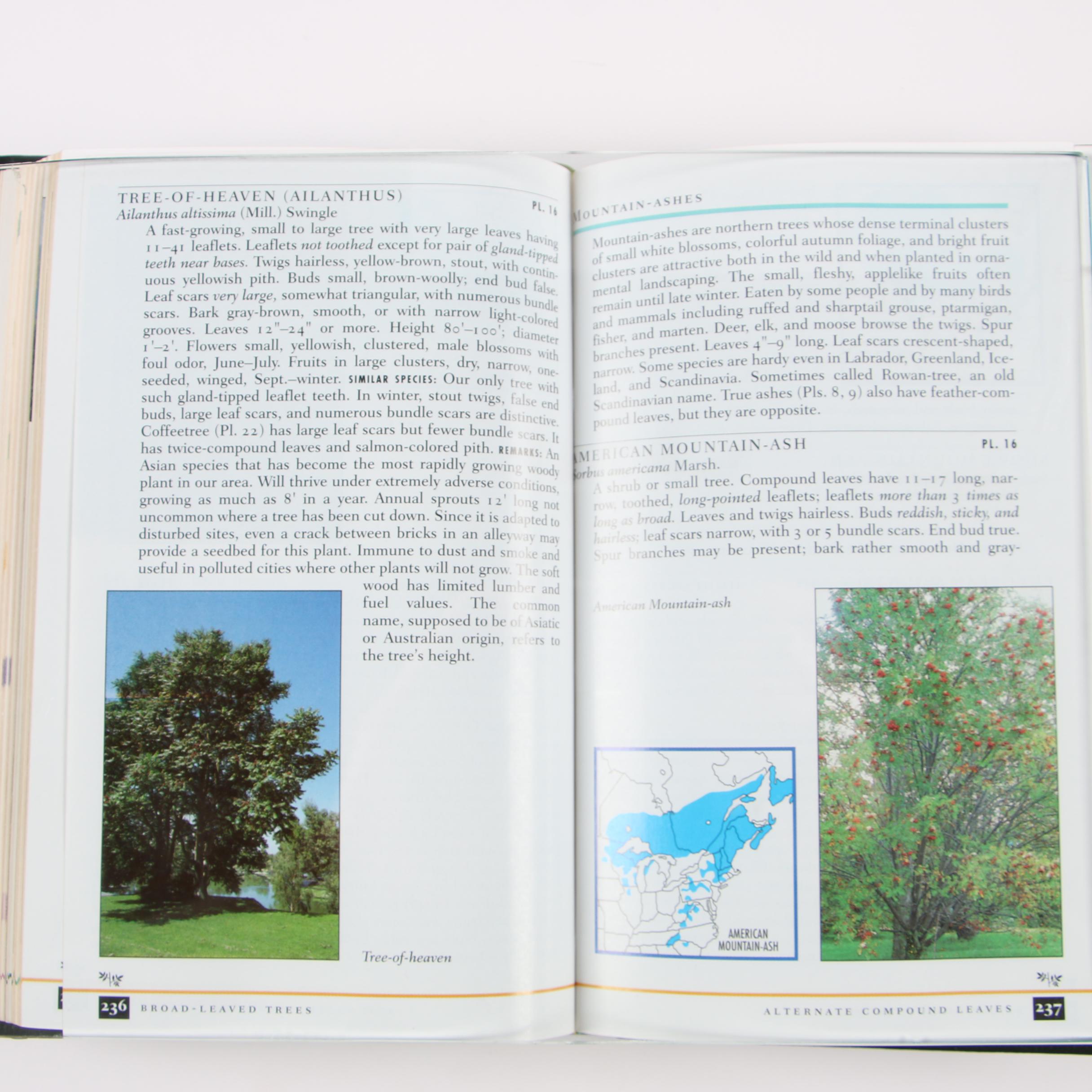 Easton Press Editions of "Roger Tory Peterson Field Guides"