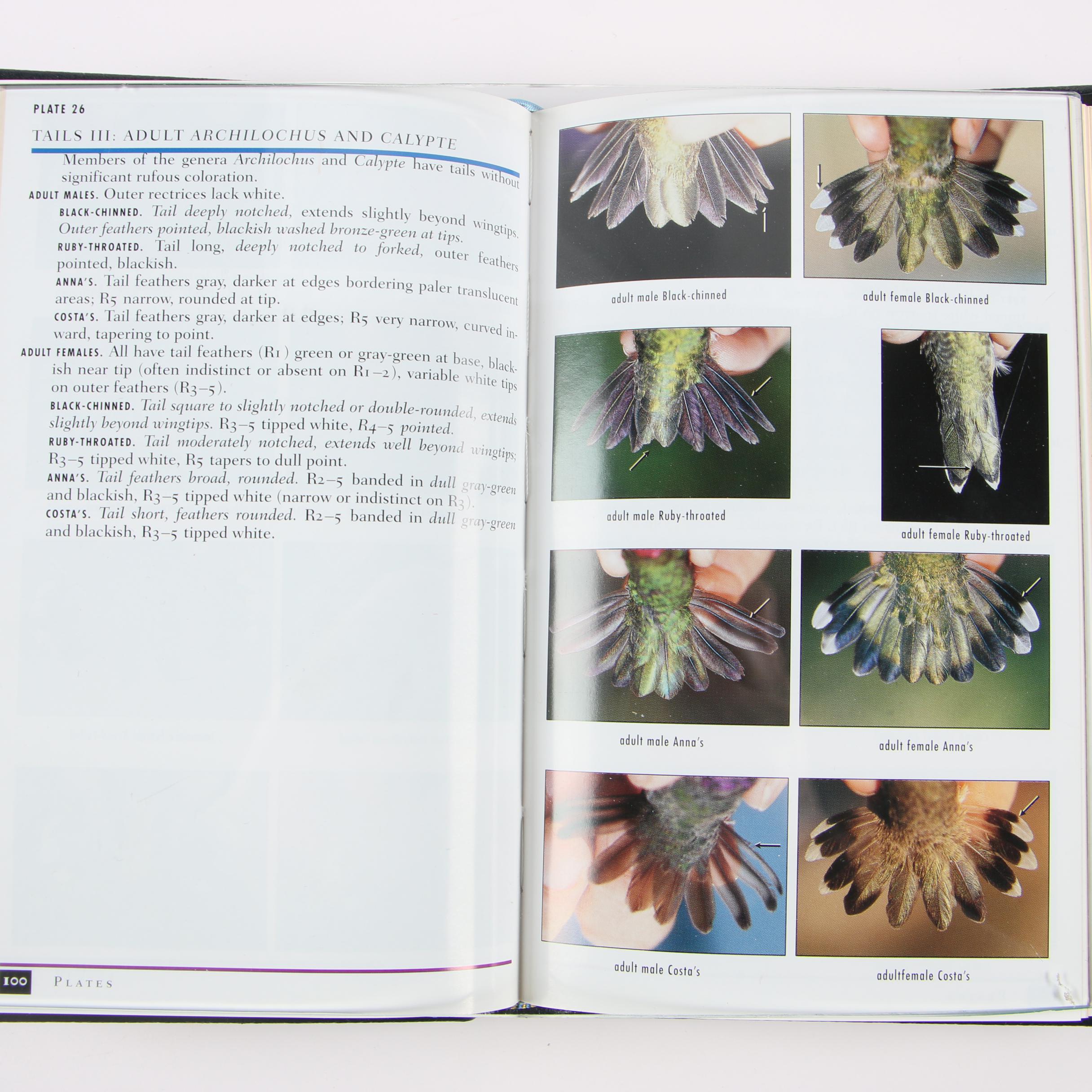 Easton Press Editions of "Roger Tory Peterson Field Guides"