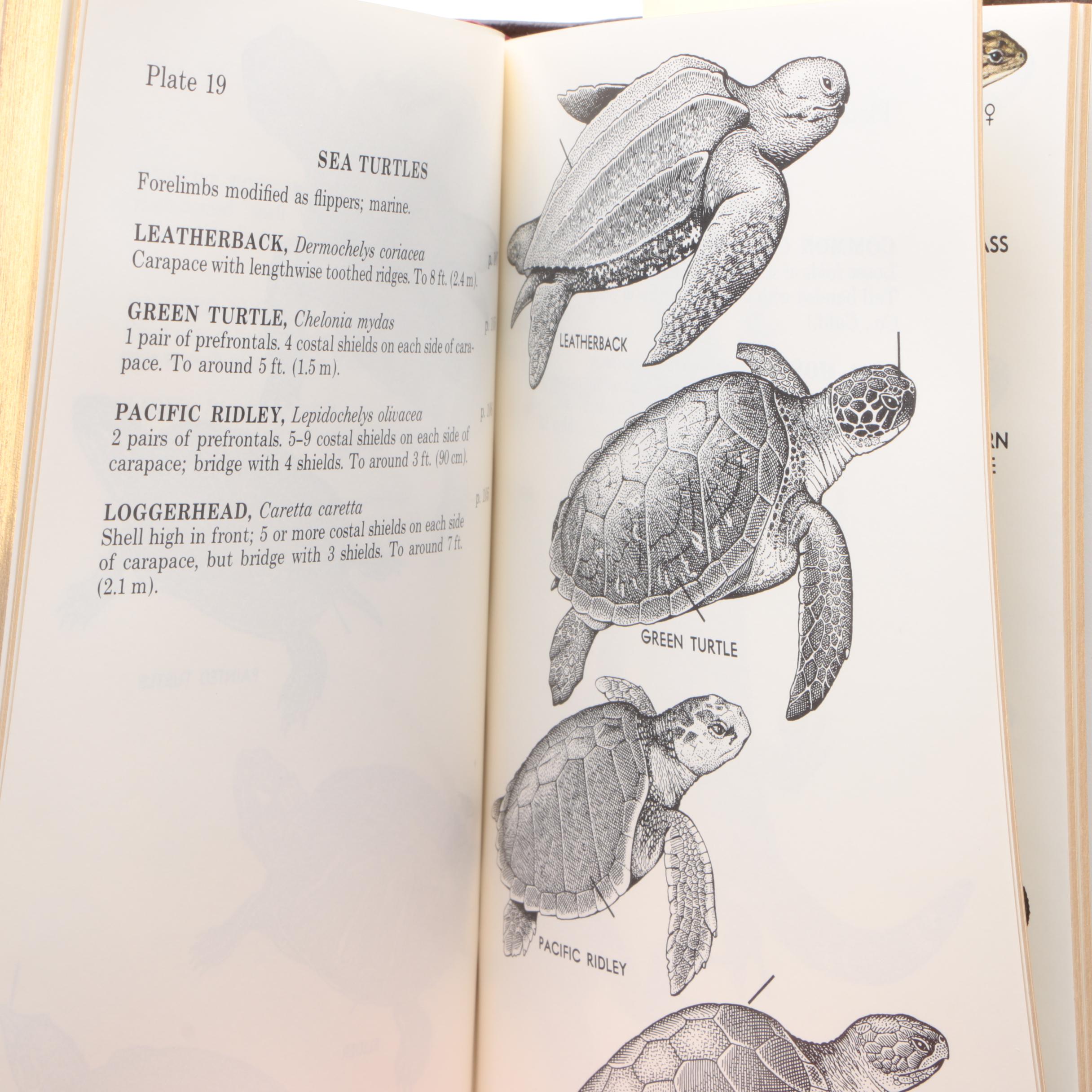 Easton Press Editions of "Roger Tory Peterson Field Guides"