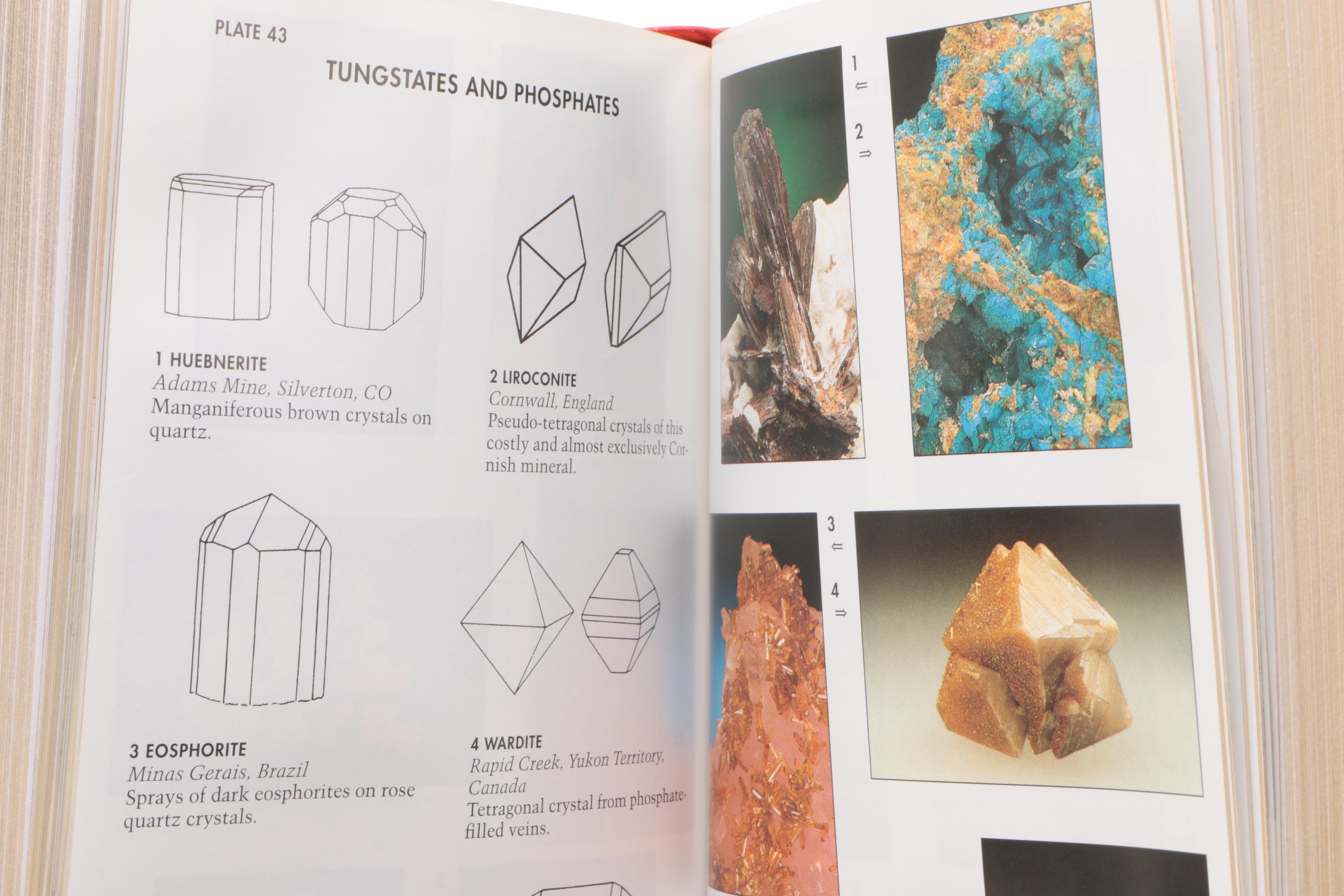 Easton Press Editions of "Roger Tory Peterson Field Guides"