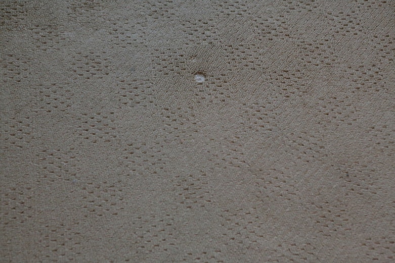 Power-Loomed Oriental Weavers "Lanai" Rug