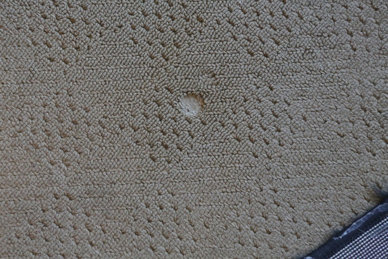 Power-Loomed Oriental Weavers "Lanai" Rug