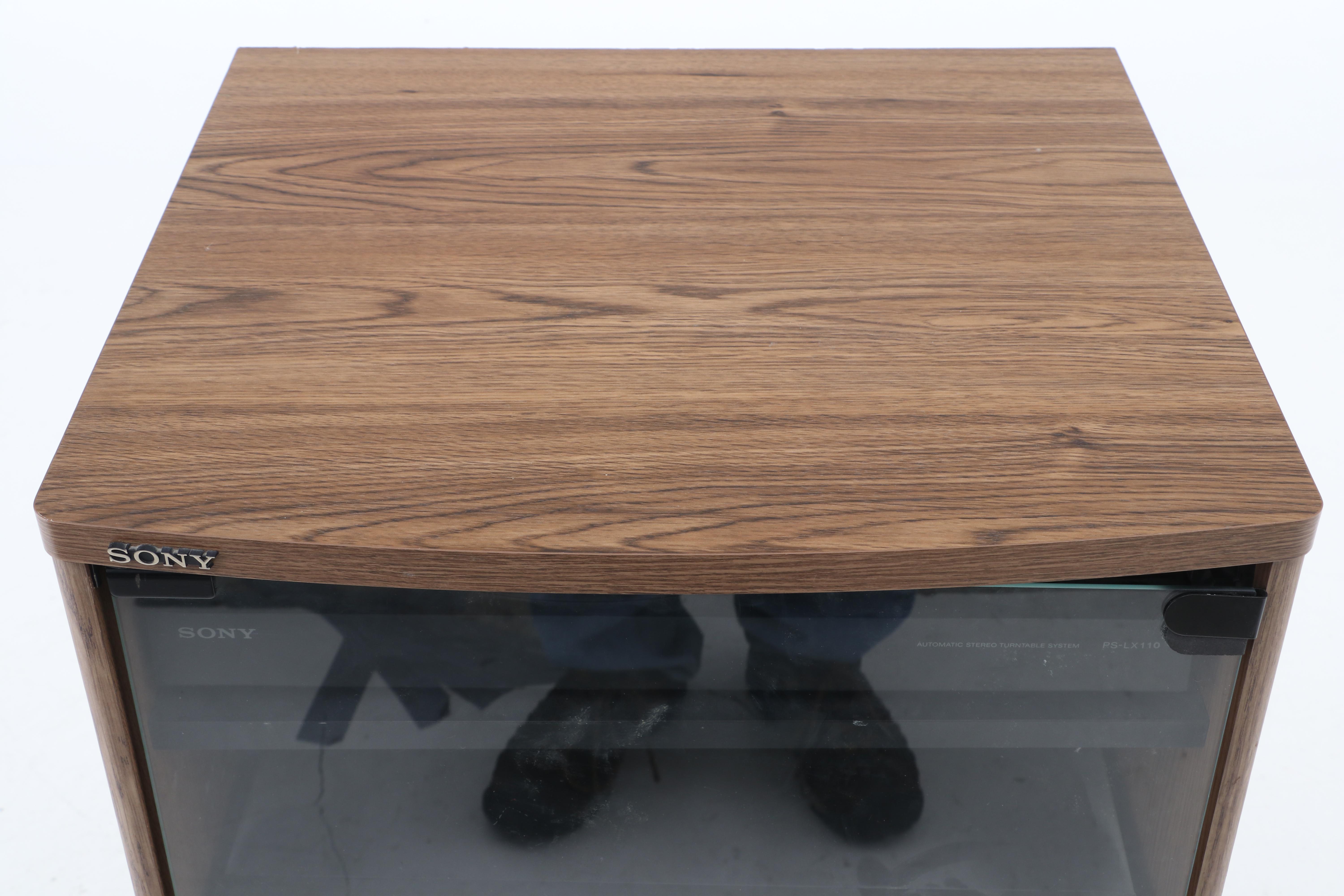 Sony Audio Rack System in Glass Front Cabinet