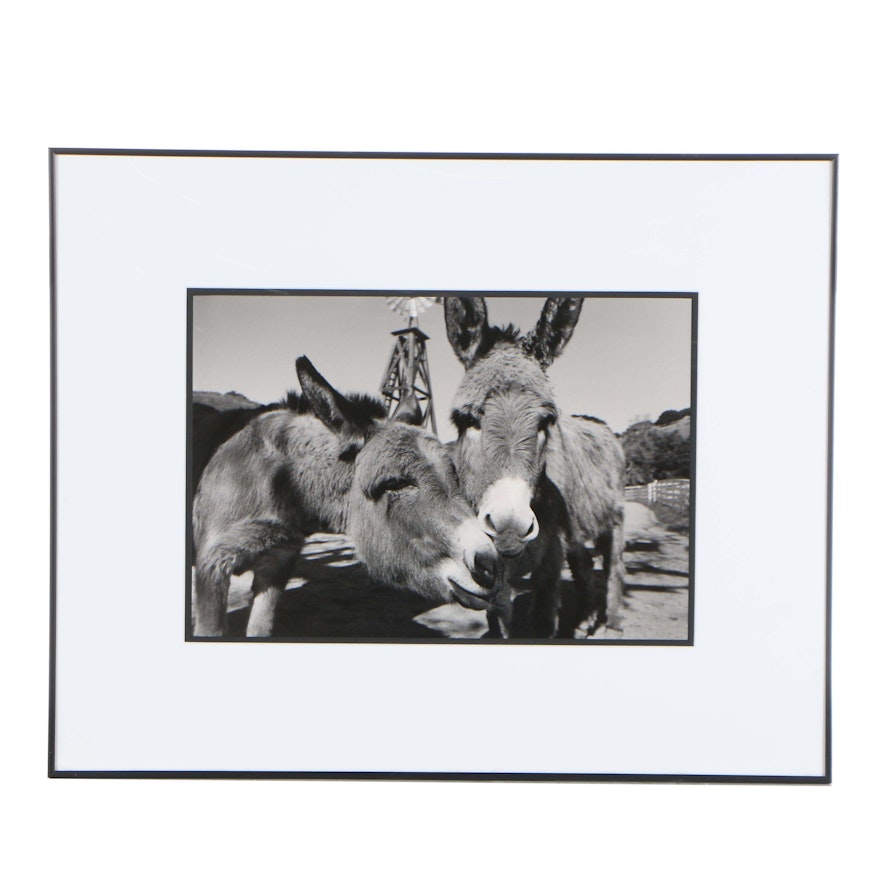 Keith Auerbach Black and White Photograph of Donkeys