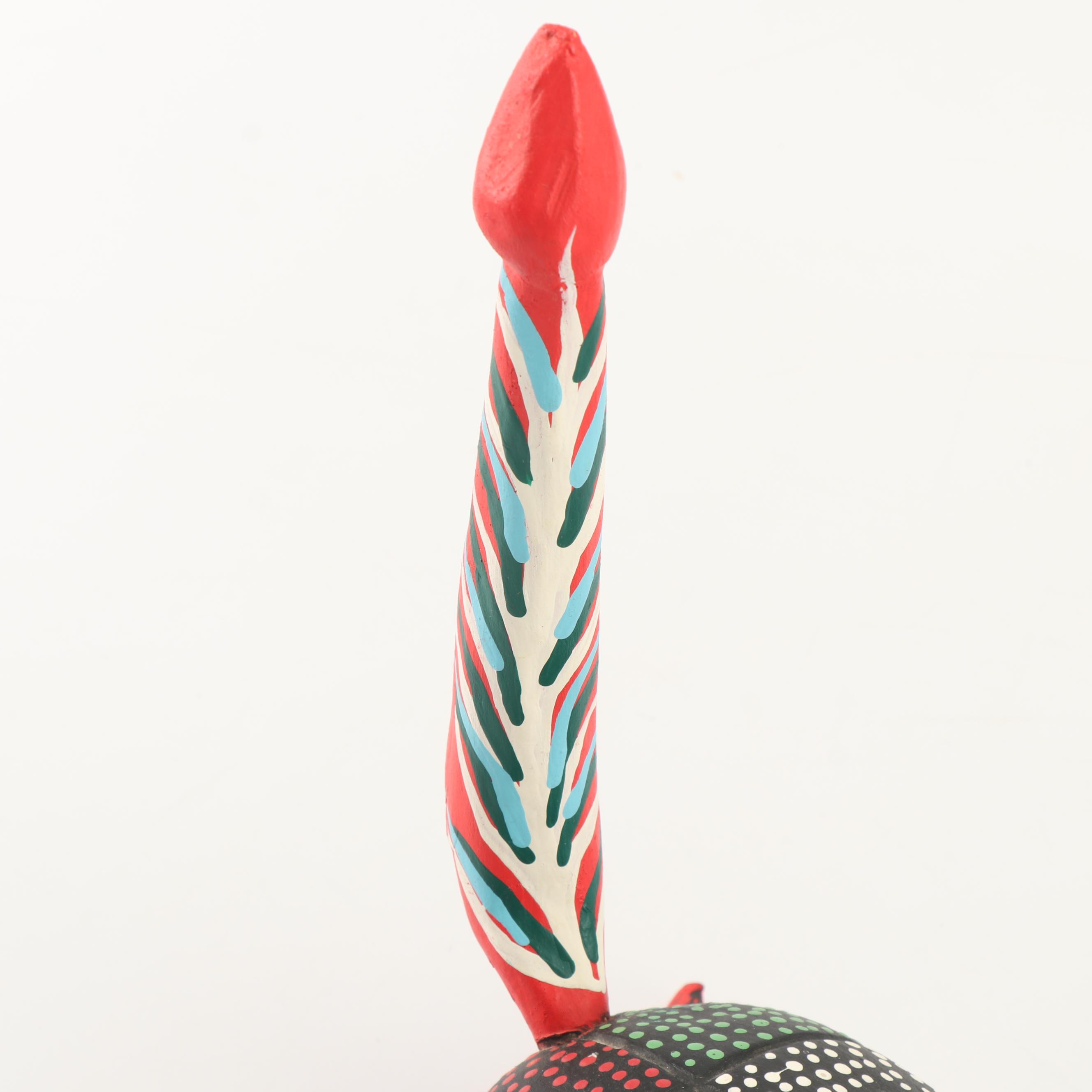 Mexican Oaxacan Alejibre