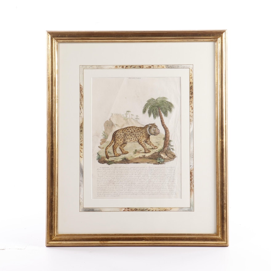 Italian Hand-Colored Bookplate Engraving "Giaguaro (Jaguar)"