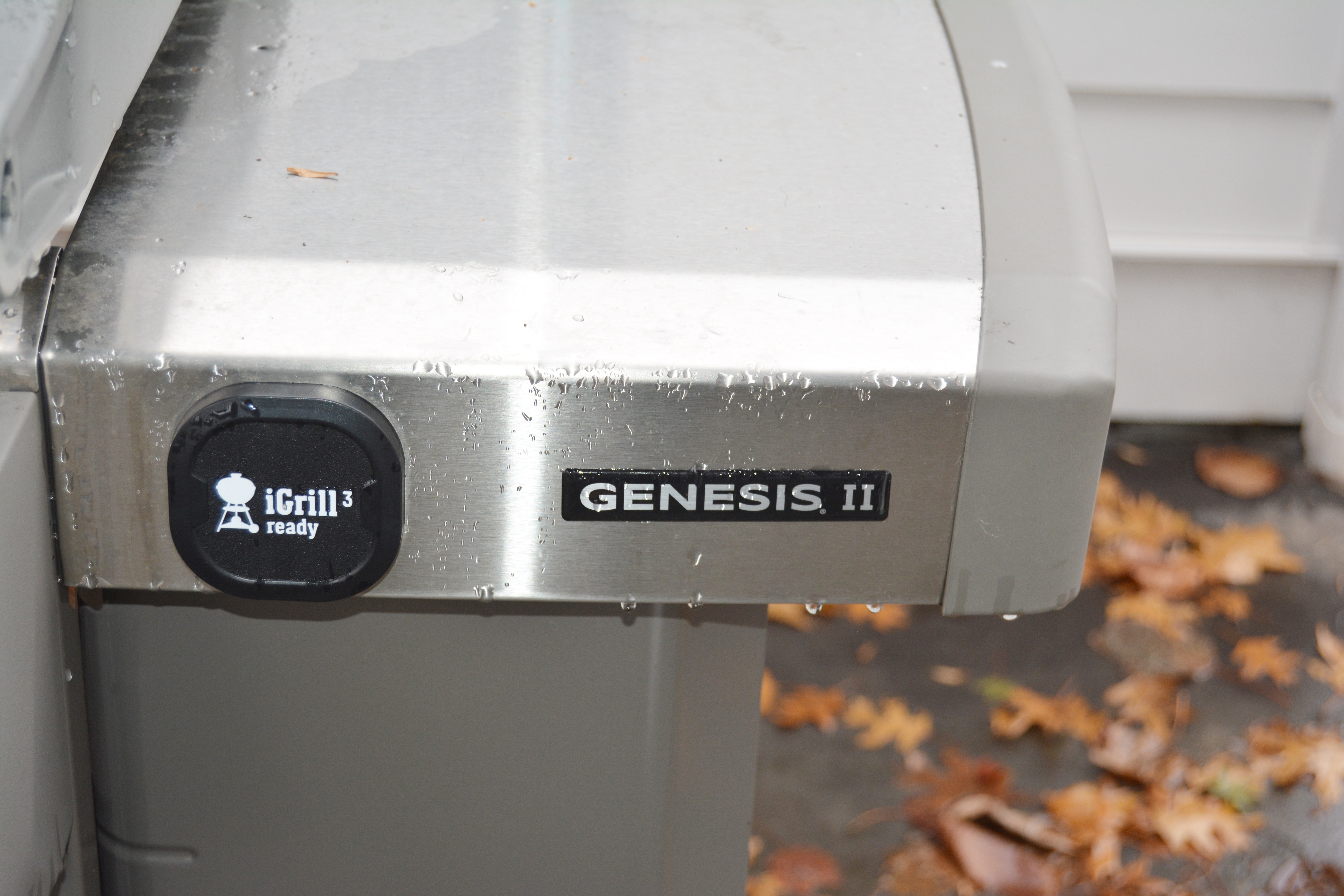 Weber Gas Grill Genesis II GS4