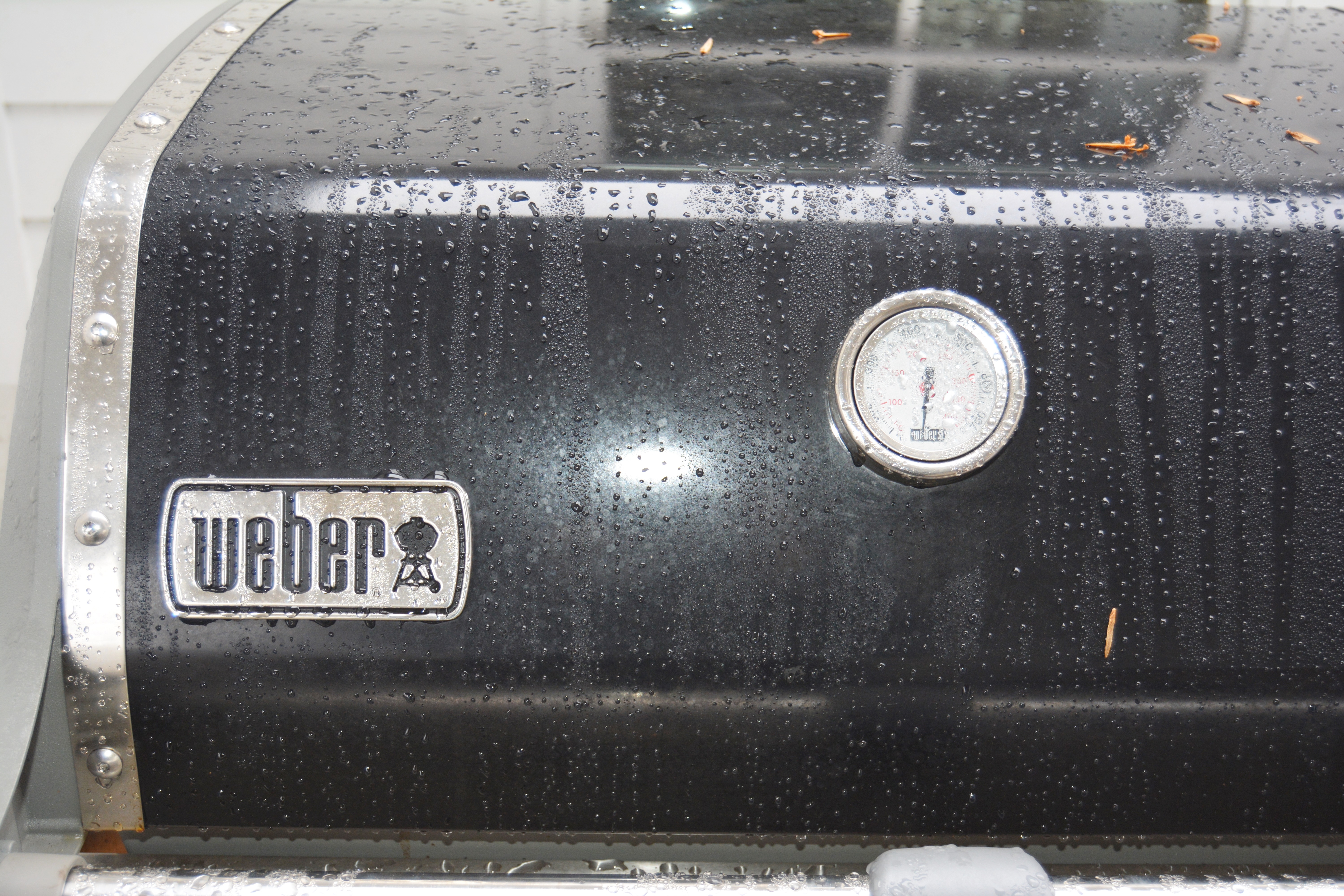 Weber Gas Grill Genesis II GS4