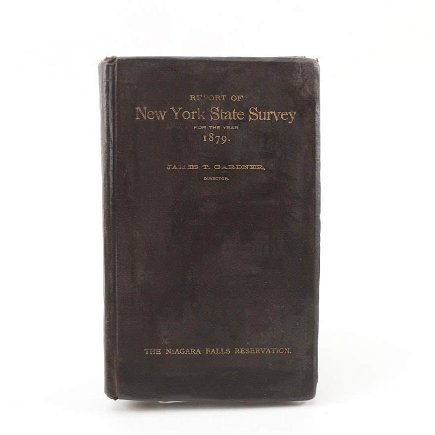 1880 "Special Report of New York State Survey of Preservation of Niagara Falls"