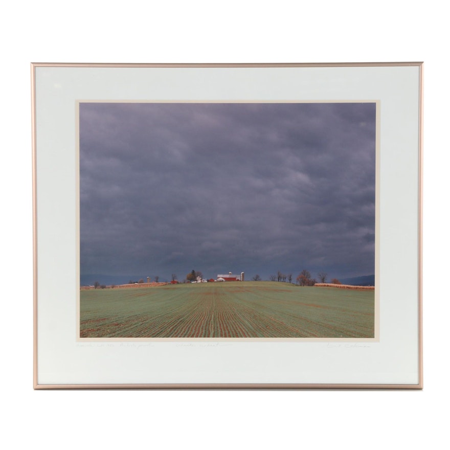 Bill Coleman Photograph "Winter Wheat"